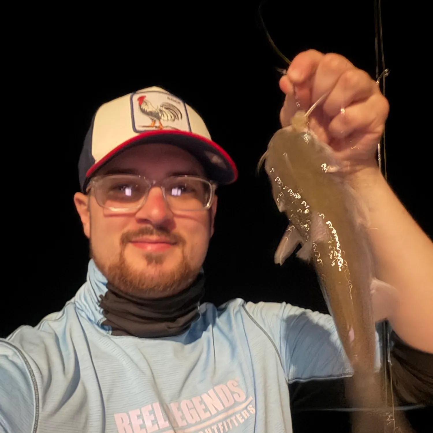Hardhead sea catfish caught on Fishbrain