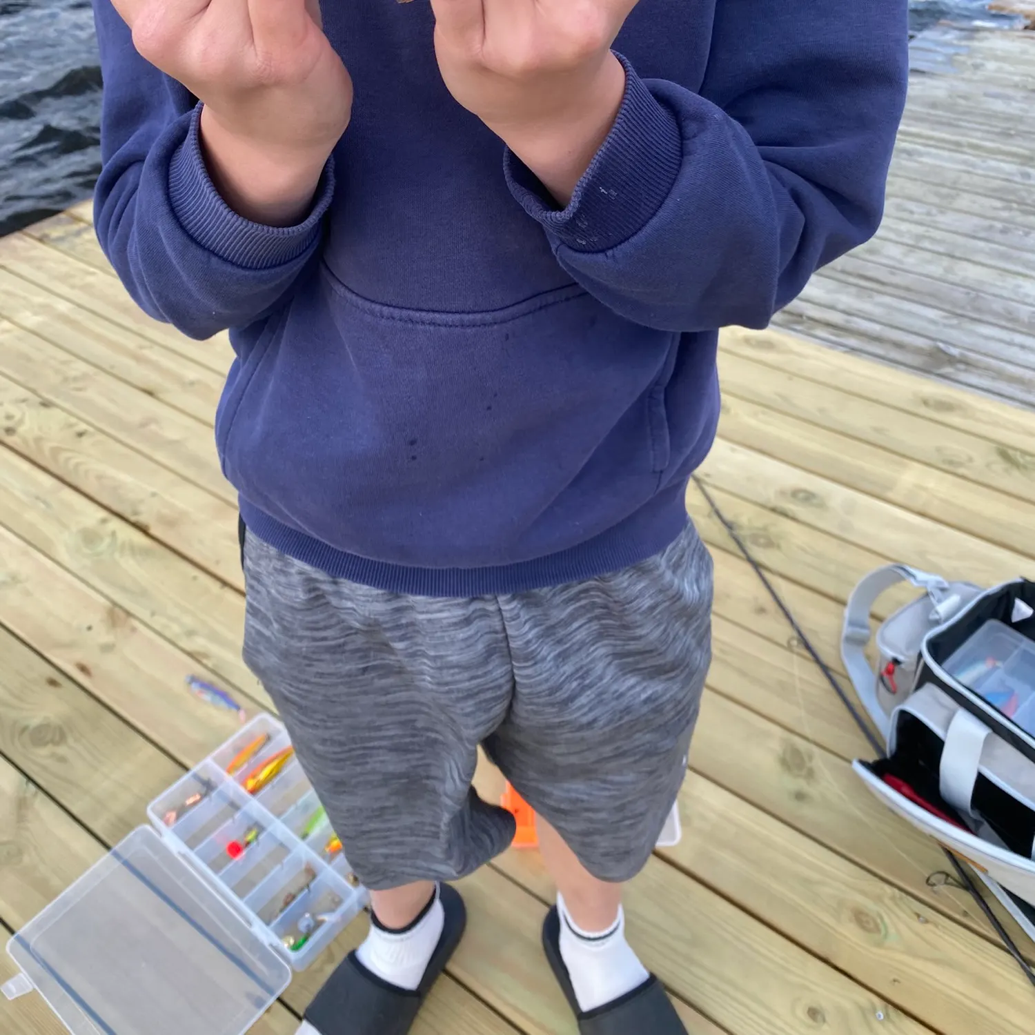 European perch caught on Fishbrain