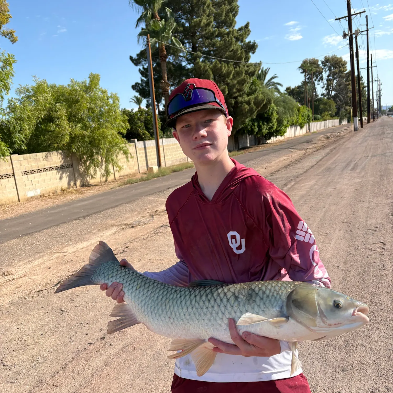 Grass carp caught on Fishbrain