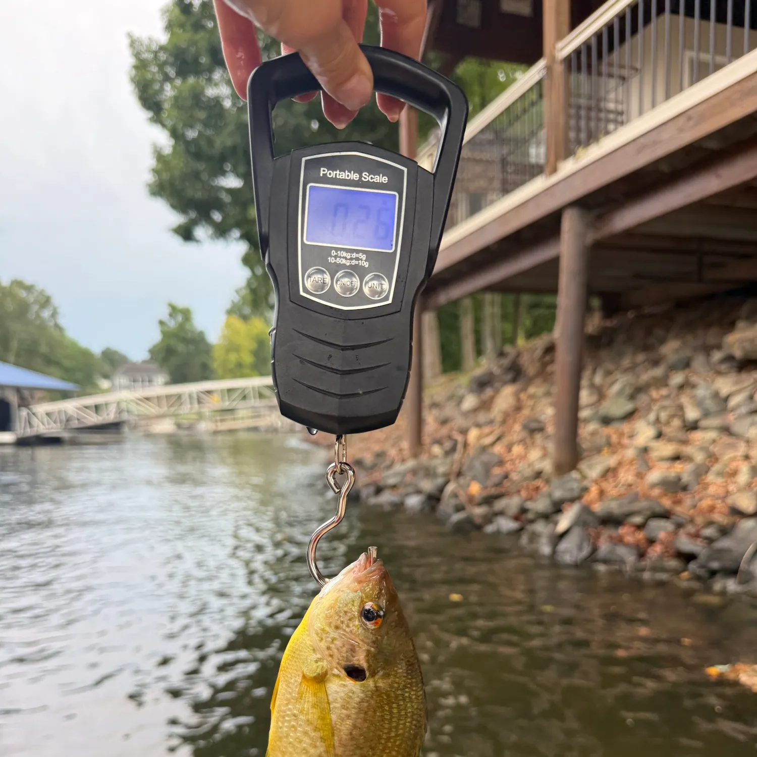 Redear sunfish caught on Fishbrain