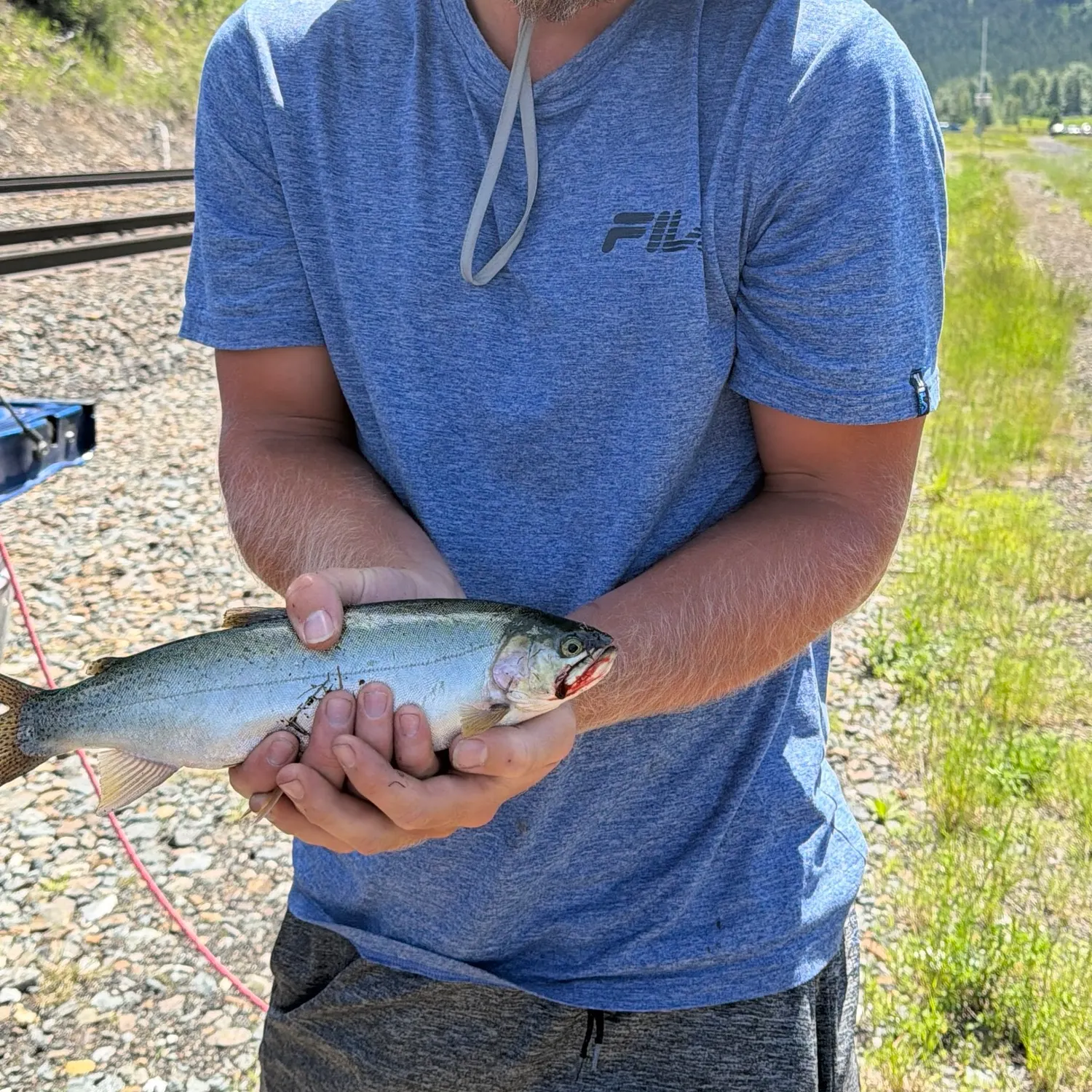 Rainbow trout caught on Fishbrain