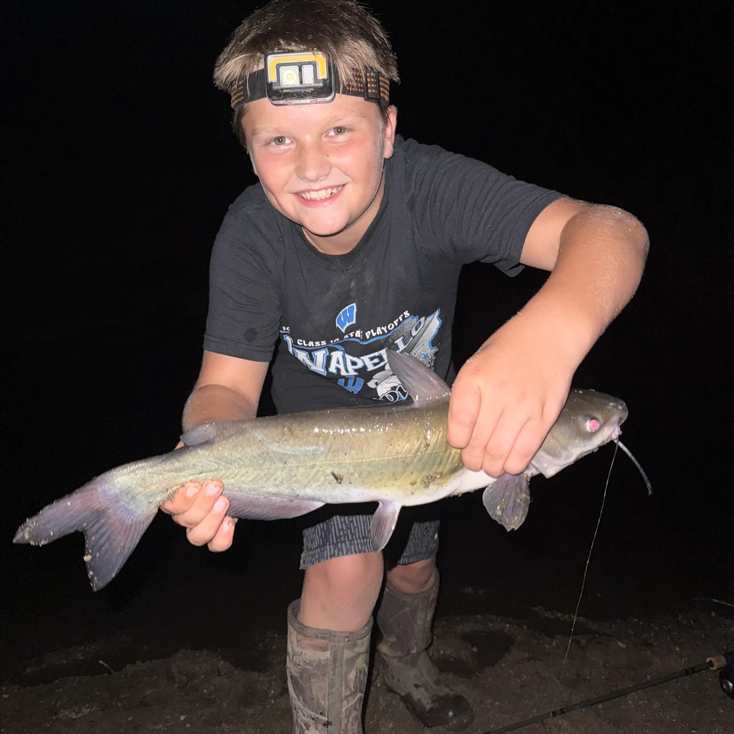 Channel catfish caught on Fishbrain