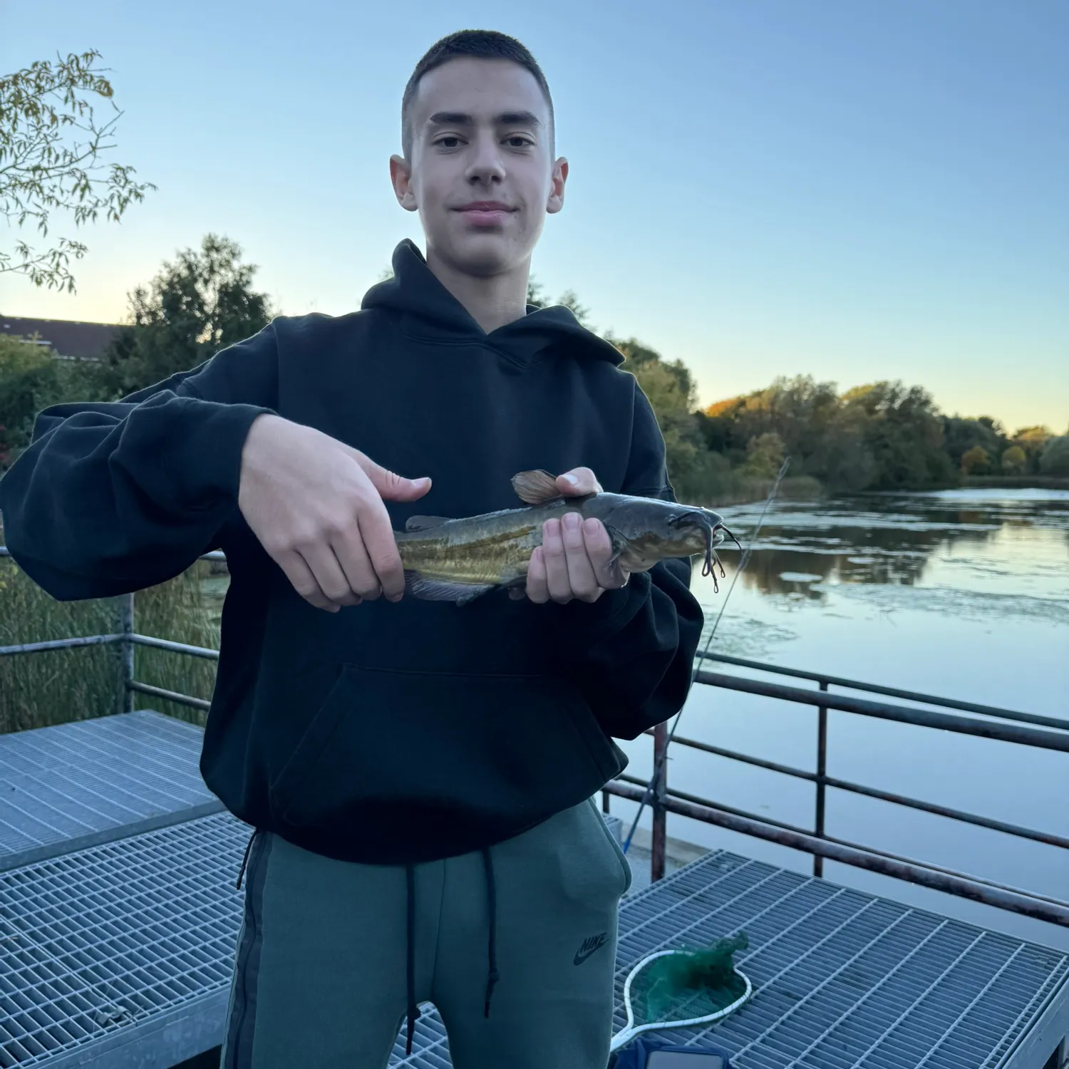 Yellow bullhead caught on Fishbrain