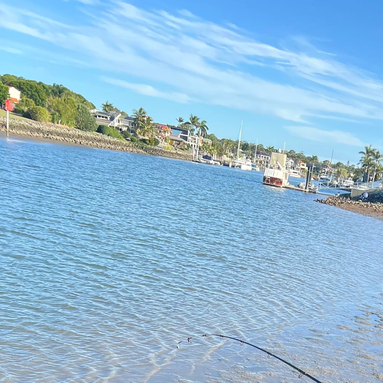 The most recent Pacific cod catches on Fishbrain