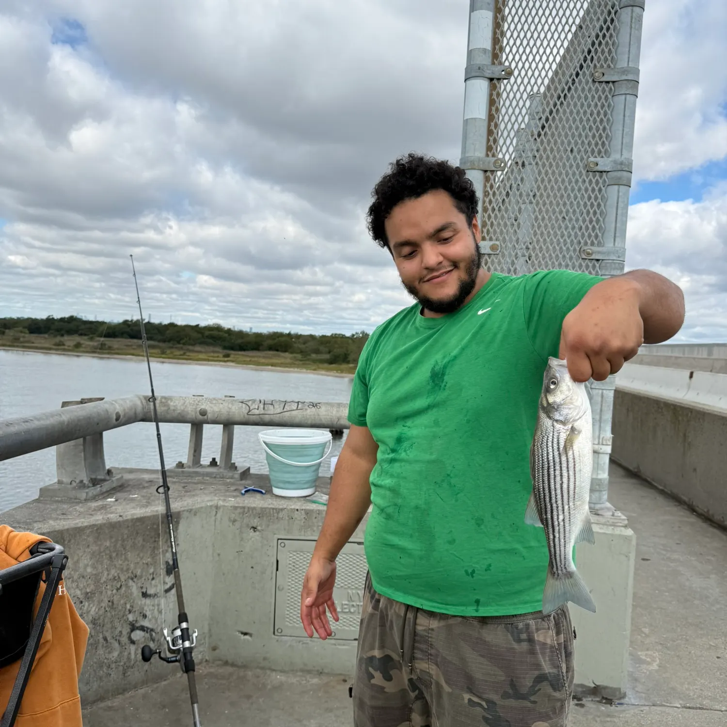 Striped bass caught on Fishbrain