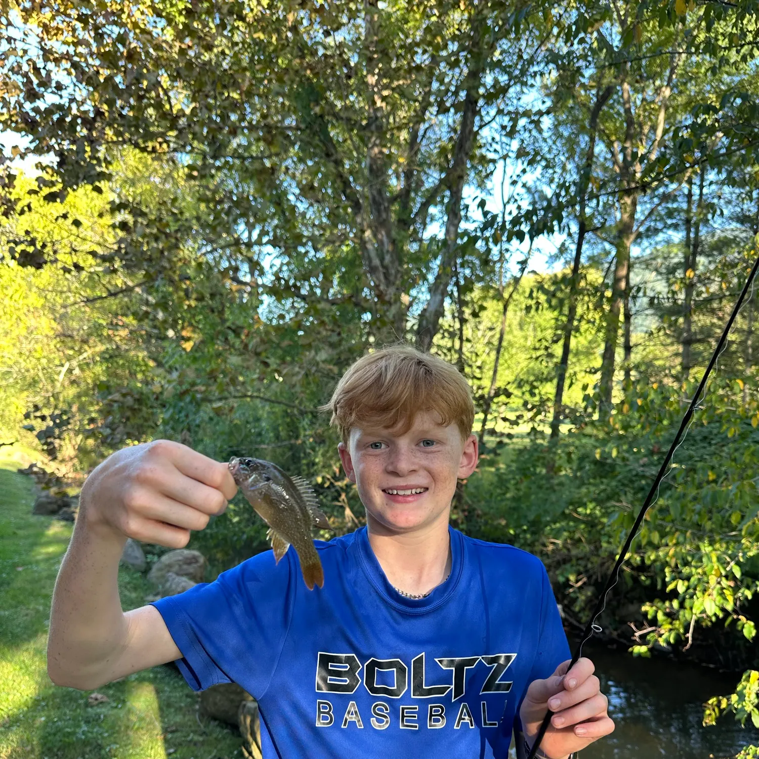 Green sunfish caught on Fishbrain