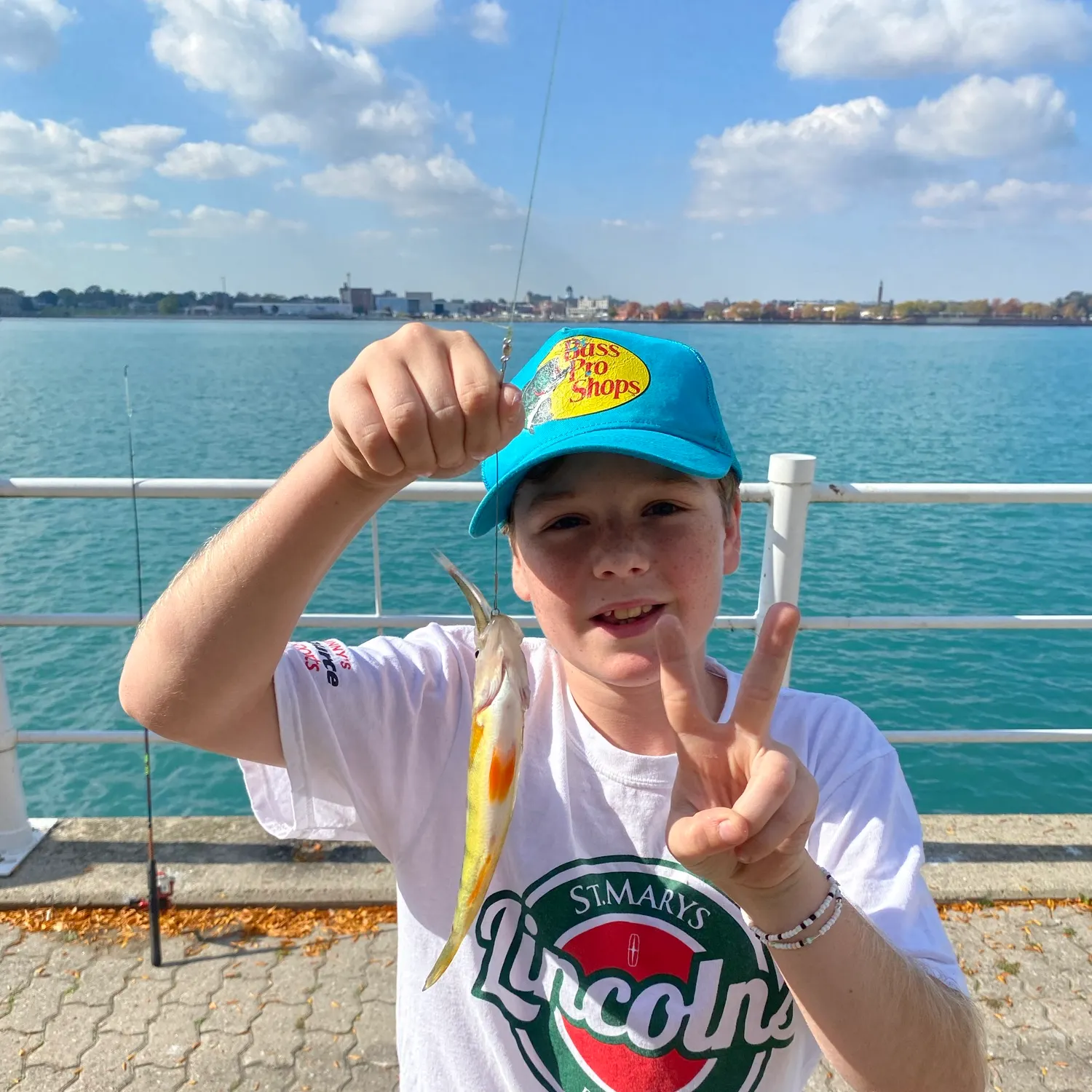 Yellow perch caught on Fishbrain