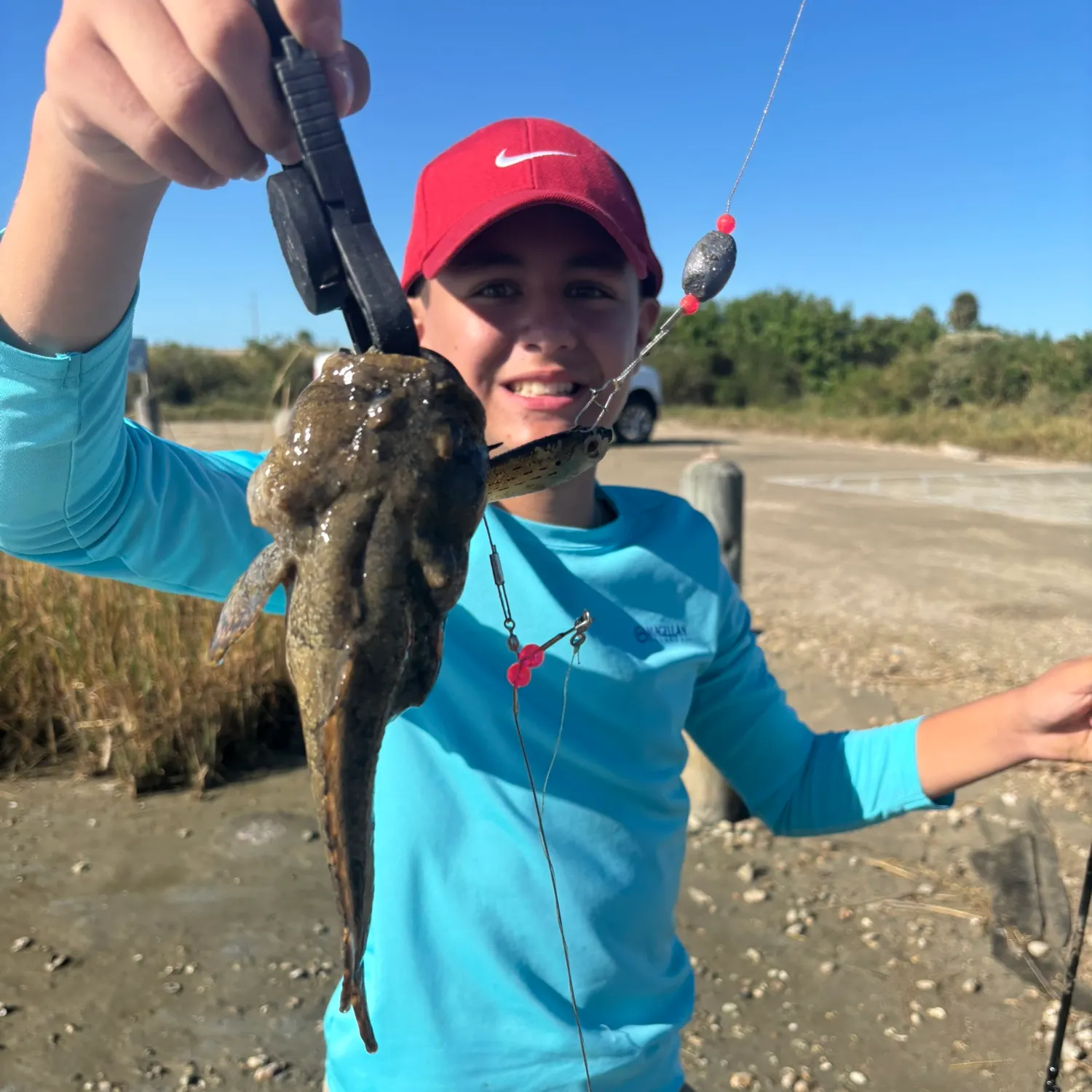 The most recent Gulf toadfish catches on Fishbrain