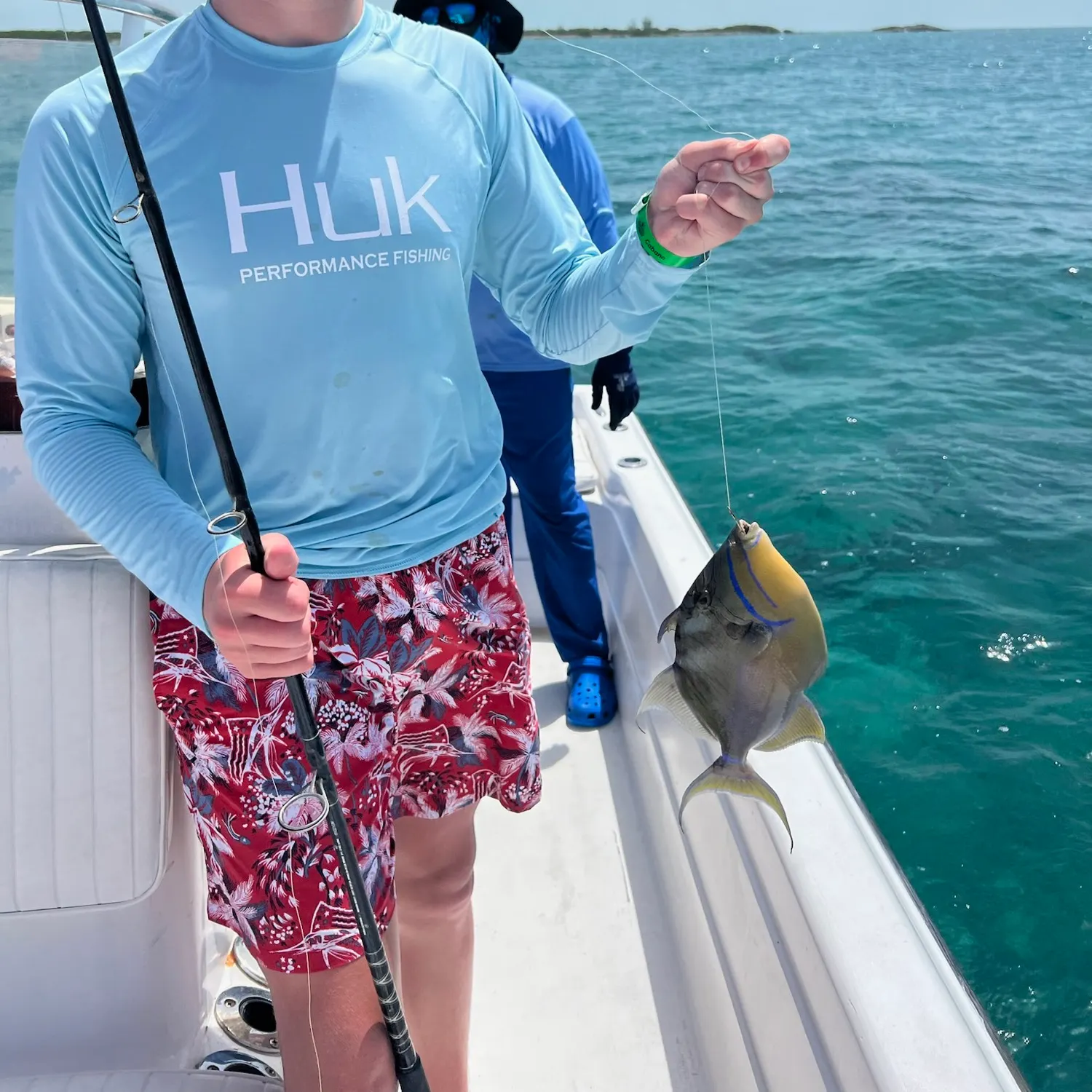 The most recent Bridled triggerfish catches on Fishbrain