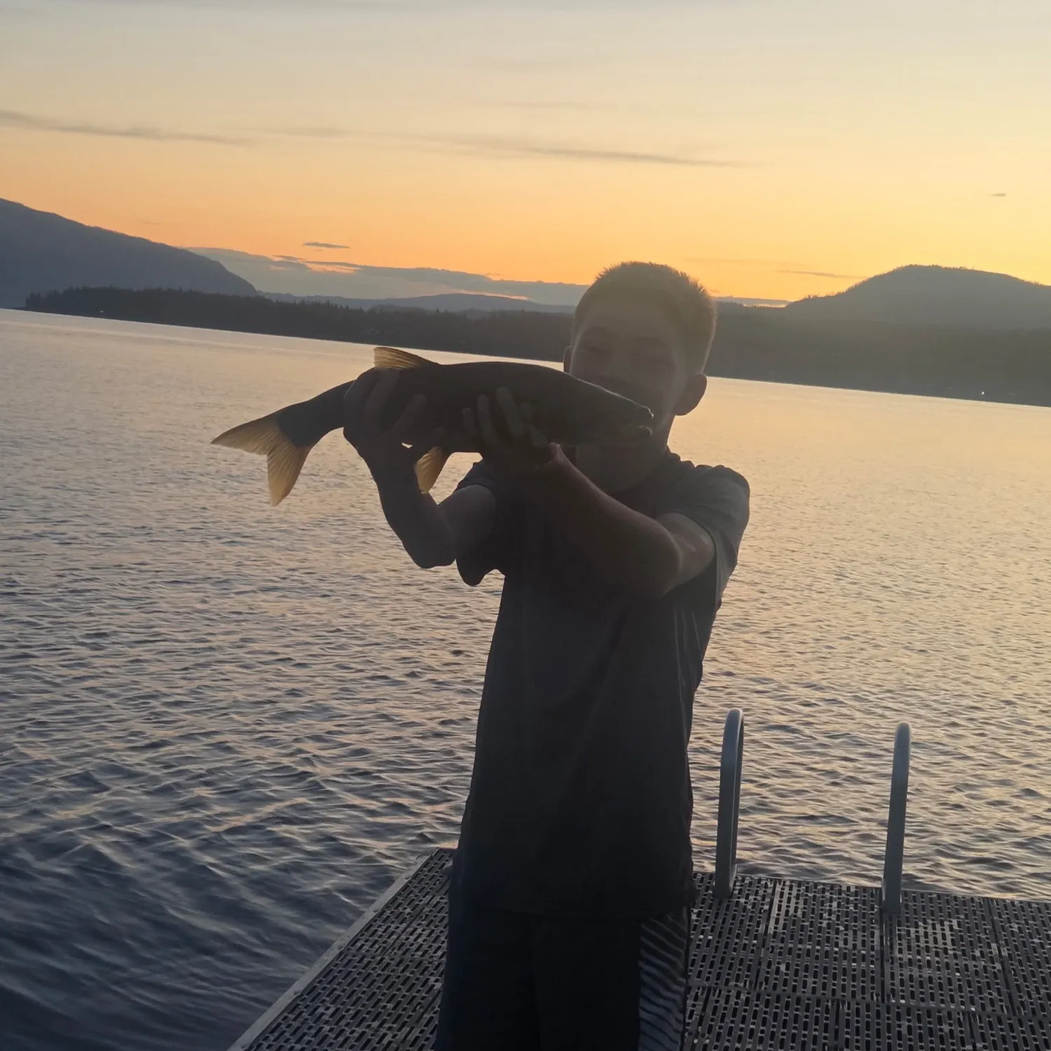 Northern pikeminnow caught on Fishbrain