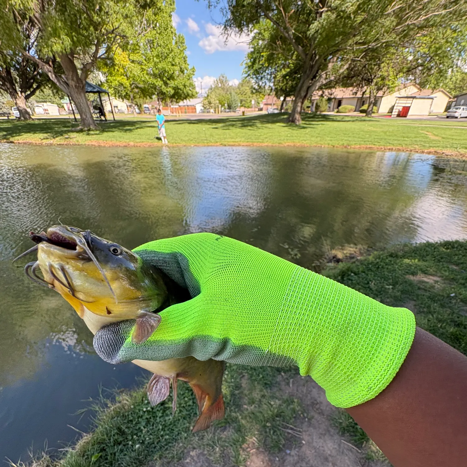 catch
