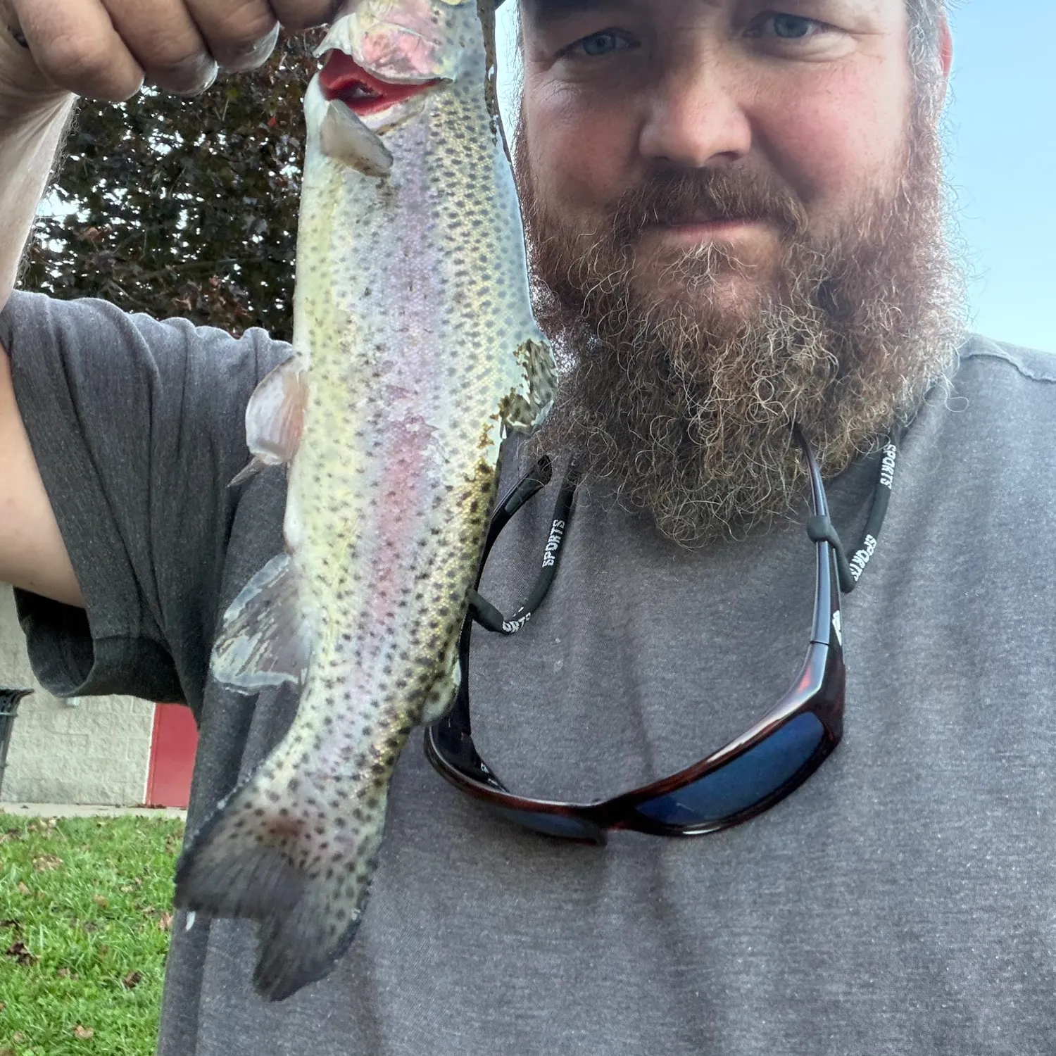 Rainbow trout caught on Fishbrain