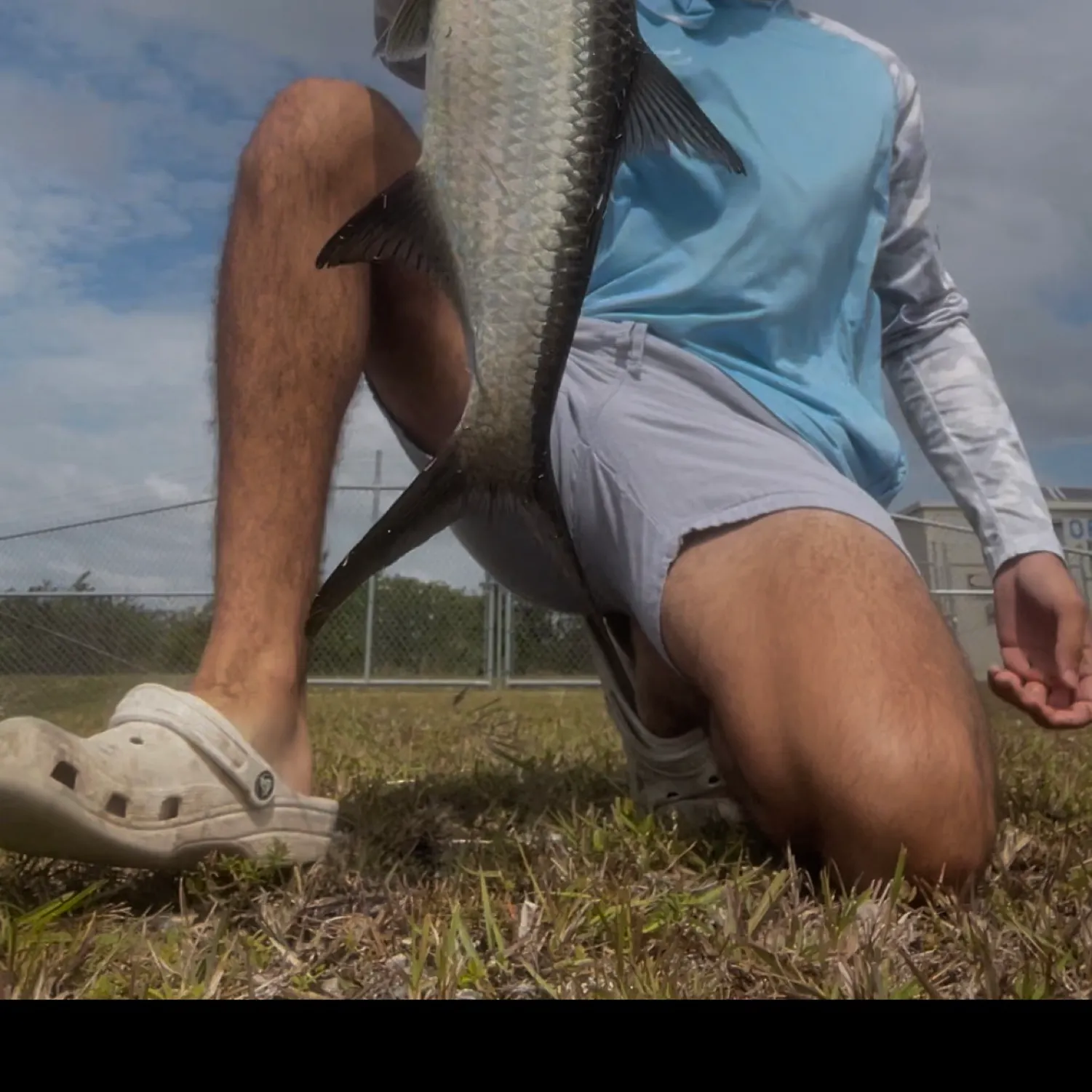 Tarpon caught on Fishbrain
