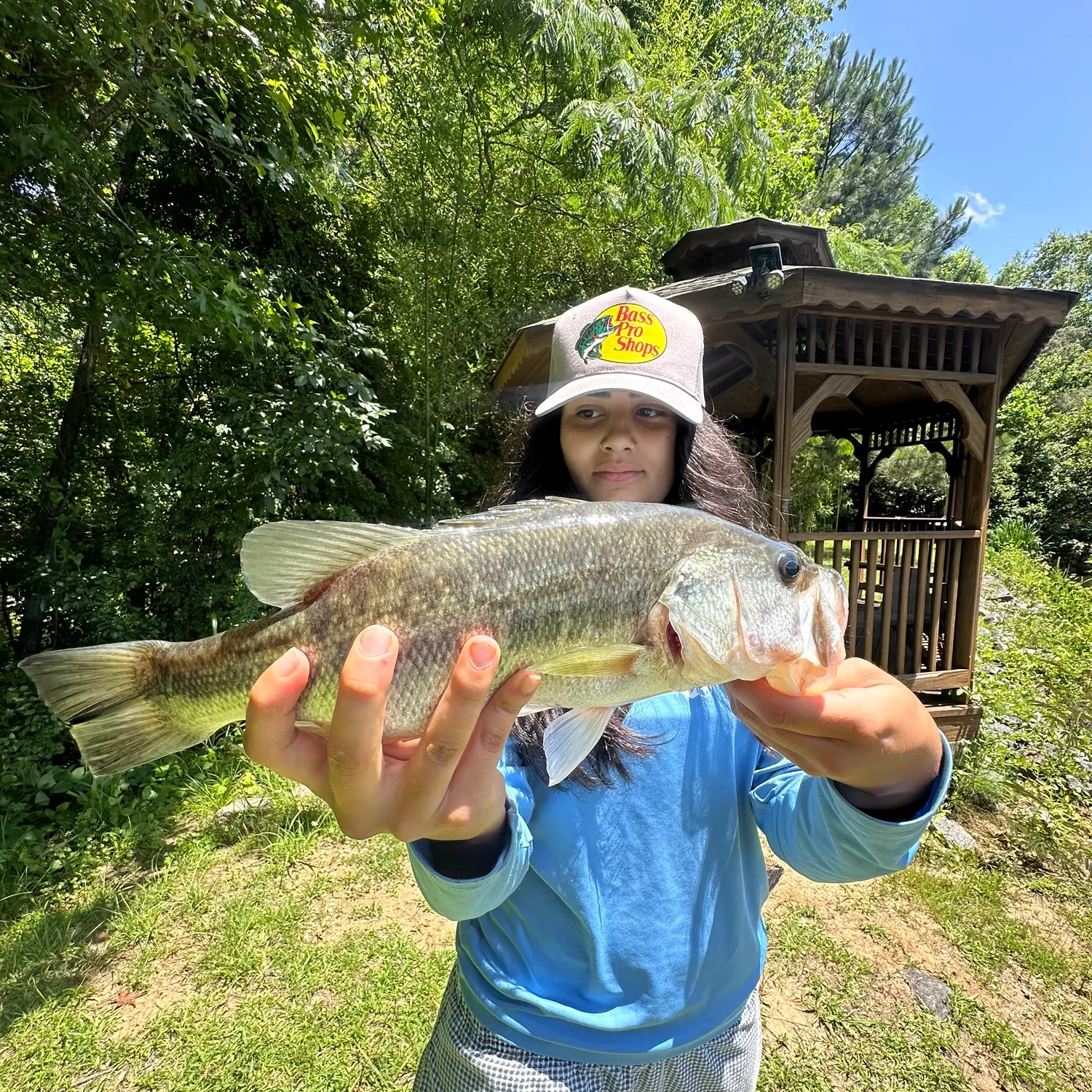 Spotted bass caught on Fishbrain