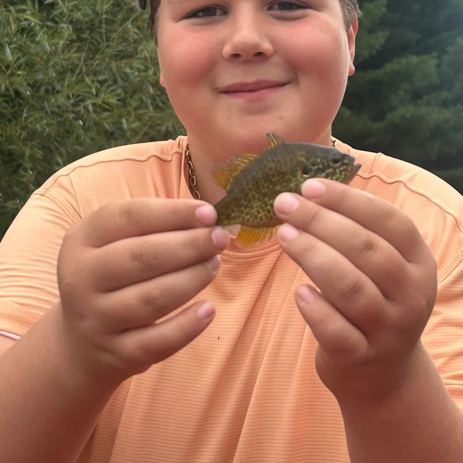Pumpkinseed caught on Fishbrain