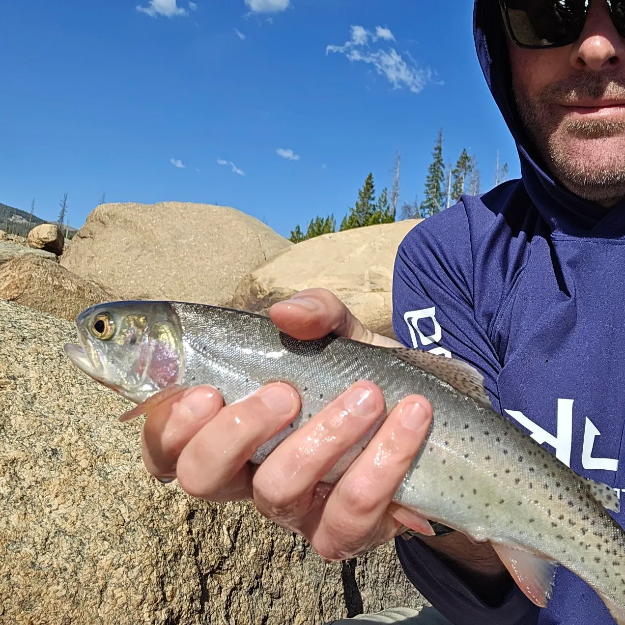 Cutthroat trout caught on Fishbrain