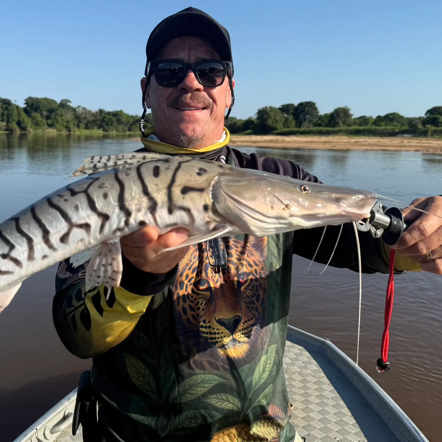 The most recent Tiger sorubim catches on Fishbrain