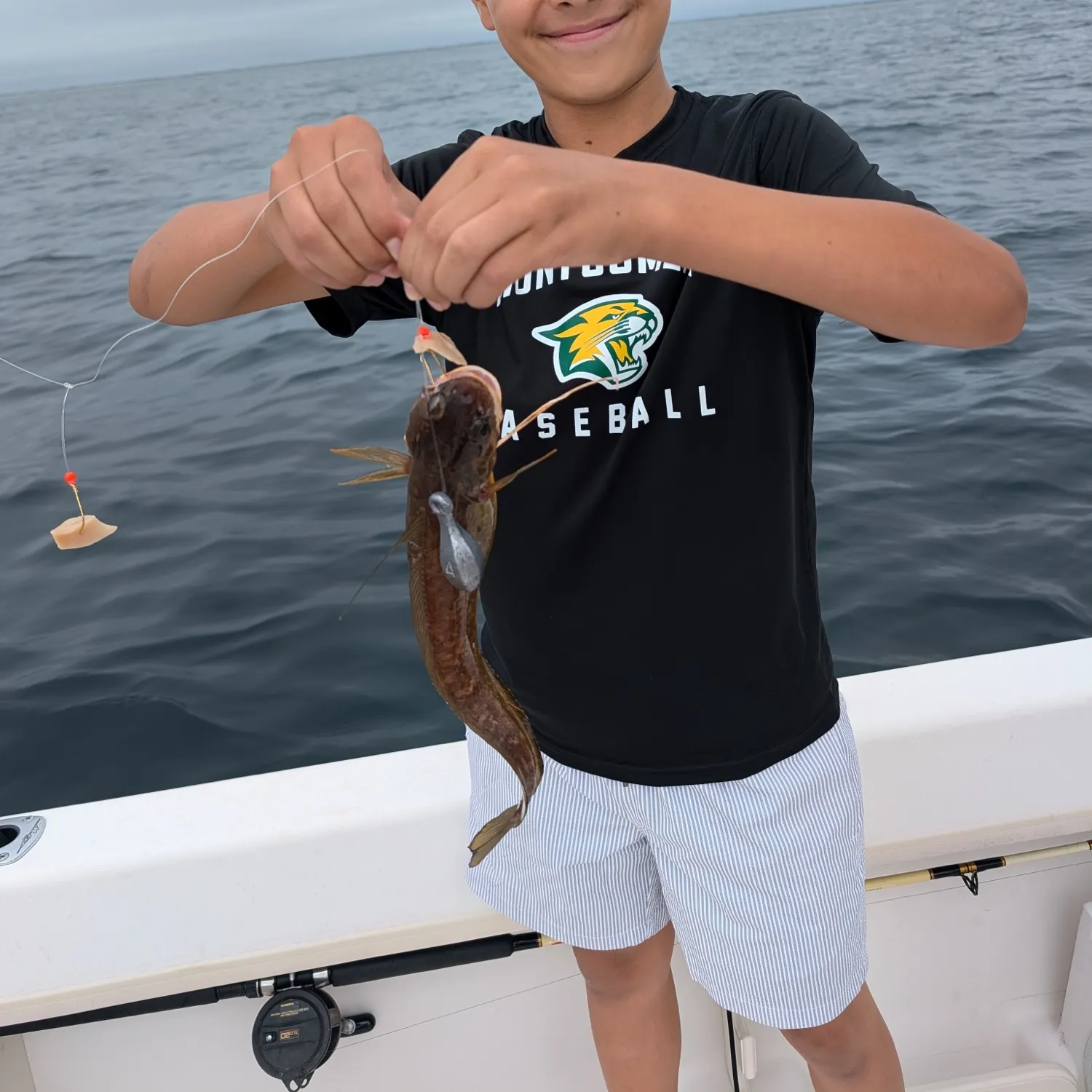The most recent Red hake catches on Fishbrain