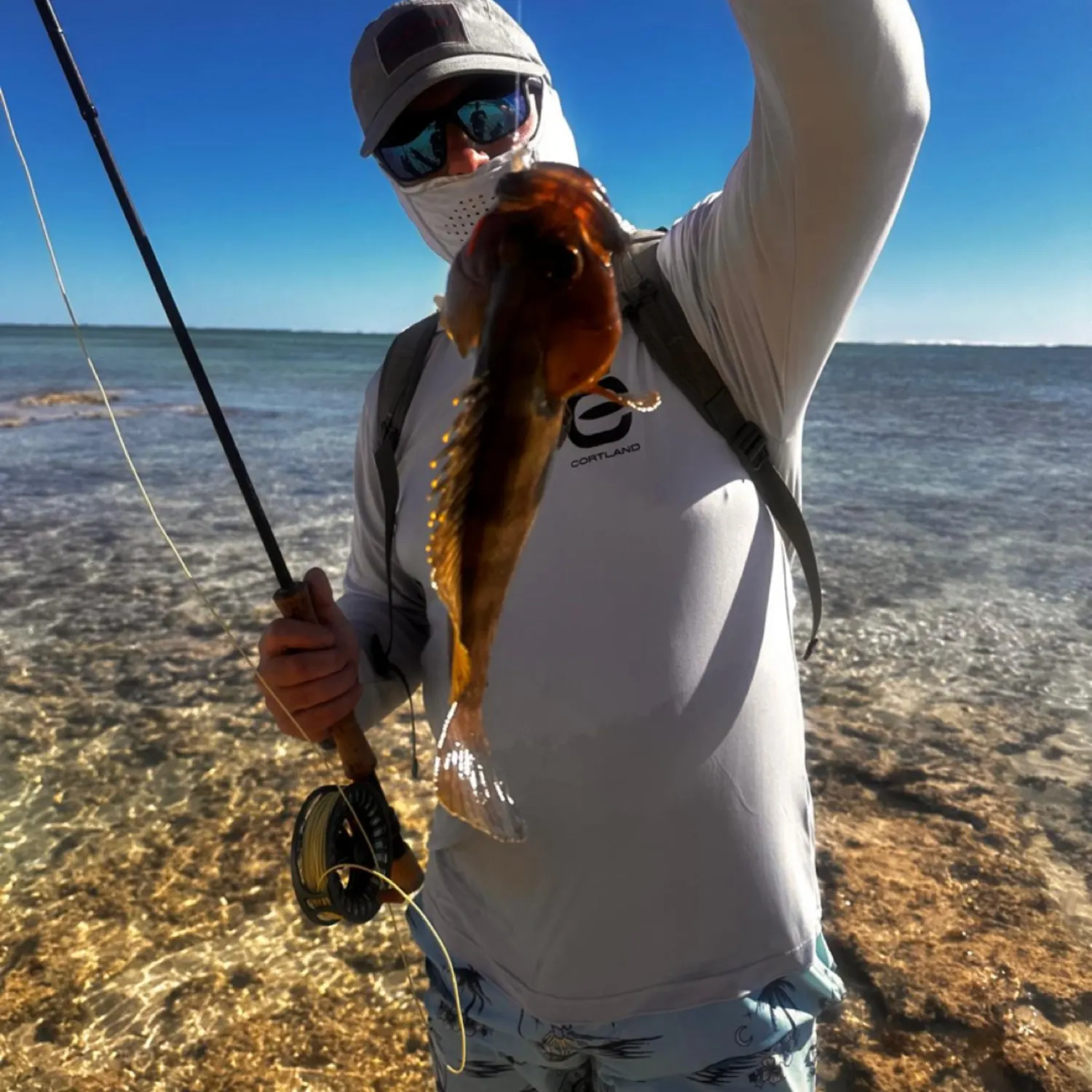 The most recent White-blotched grouper catches on Fishbrain