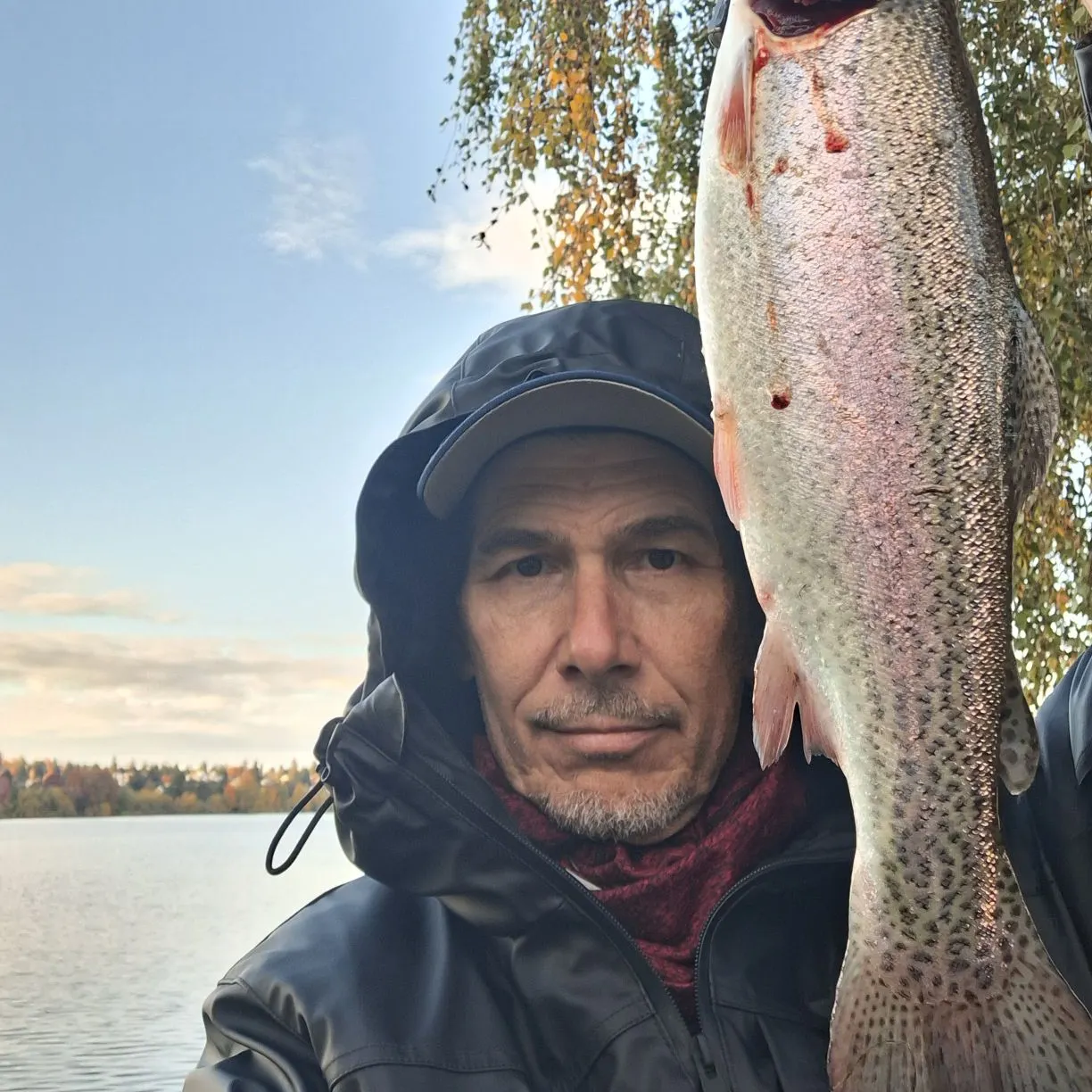 Rainbow trout caught on Fishbrain