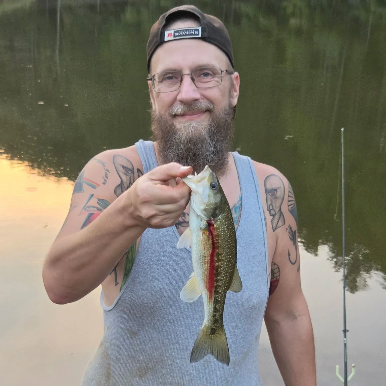 Spotted bass caught on Fishbrain