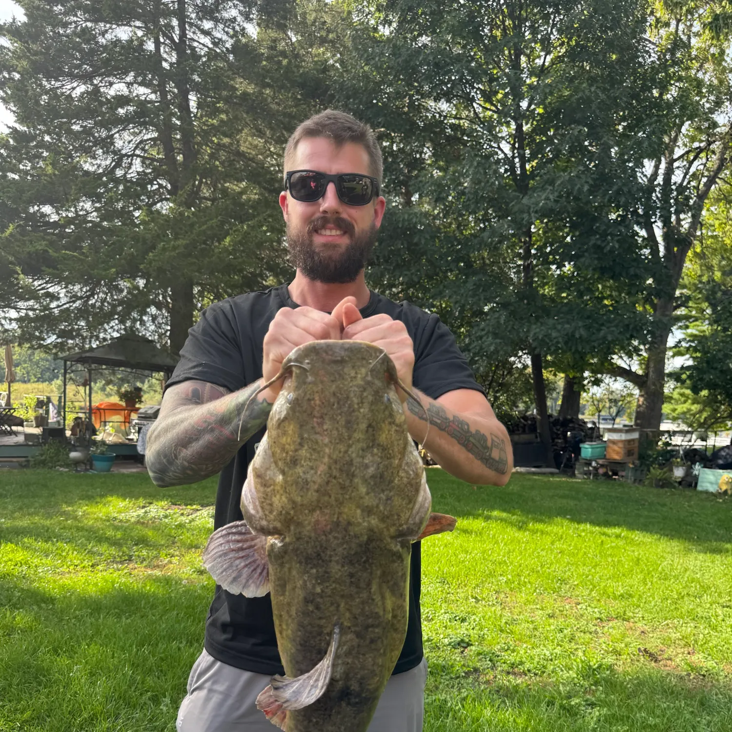 Flathead catfish caught on Fishbrain