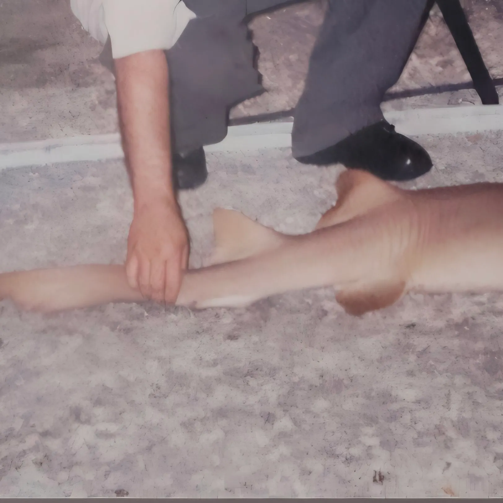 The most recent Nurse shark catches on Fishbrain