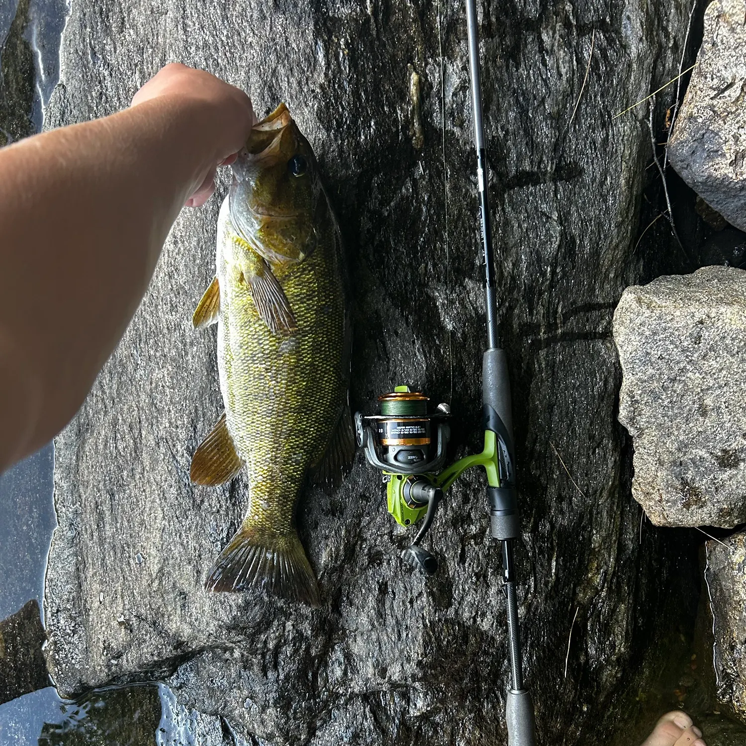 Smallmouth bass caught on Fishbrain