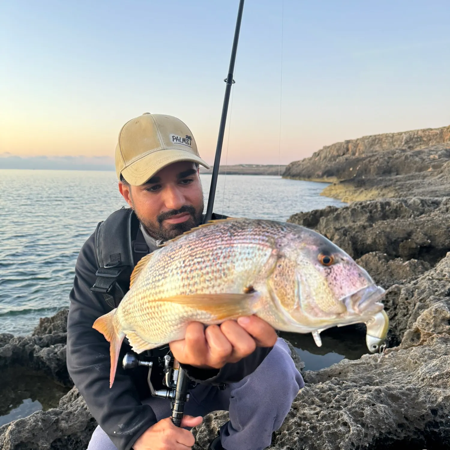 The most recent Common dentex catches on Fishbrain