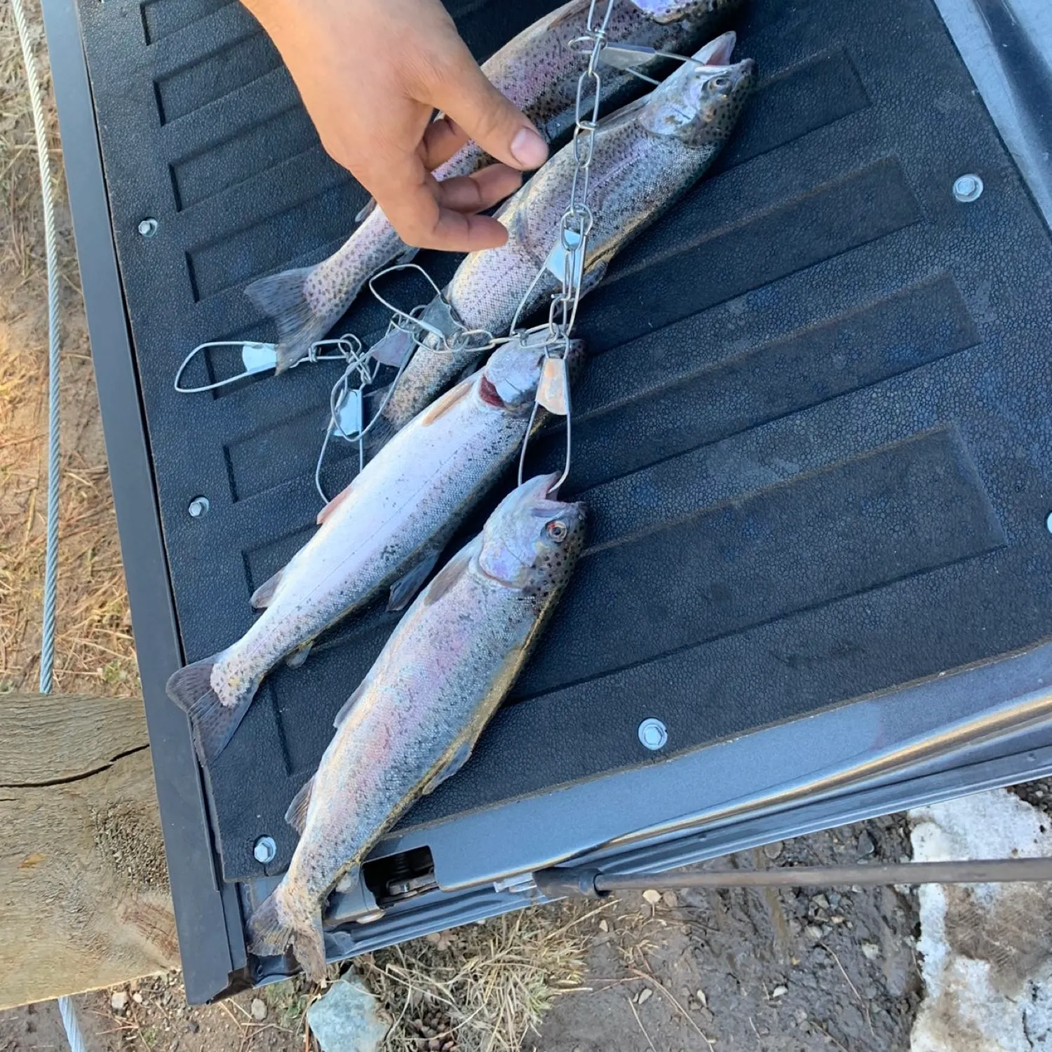 recently logged catches