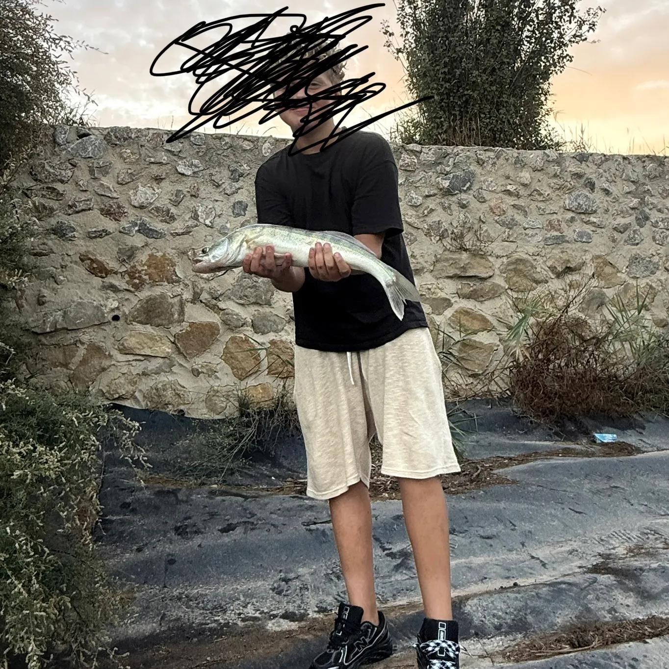 Zander caught on Fishbrain