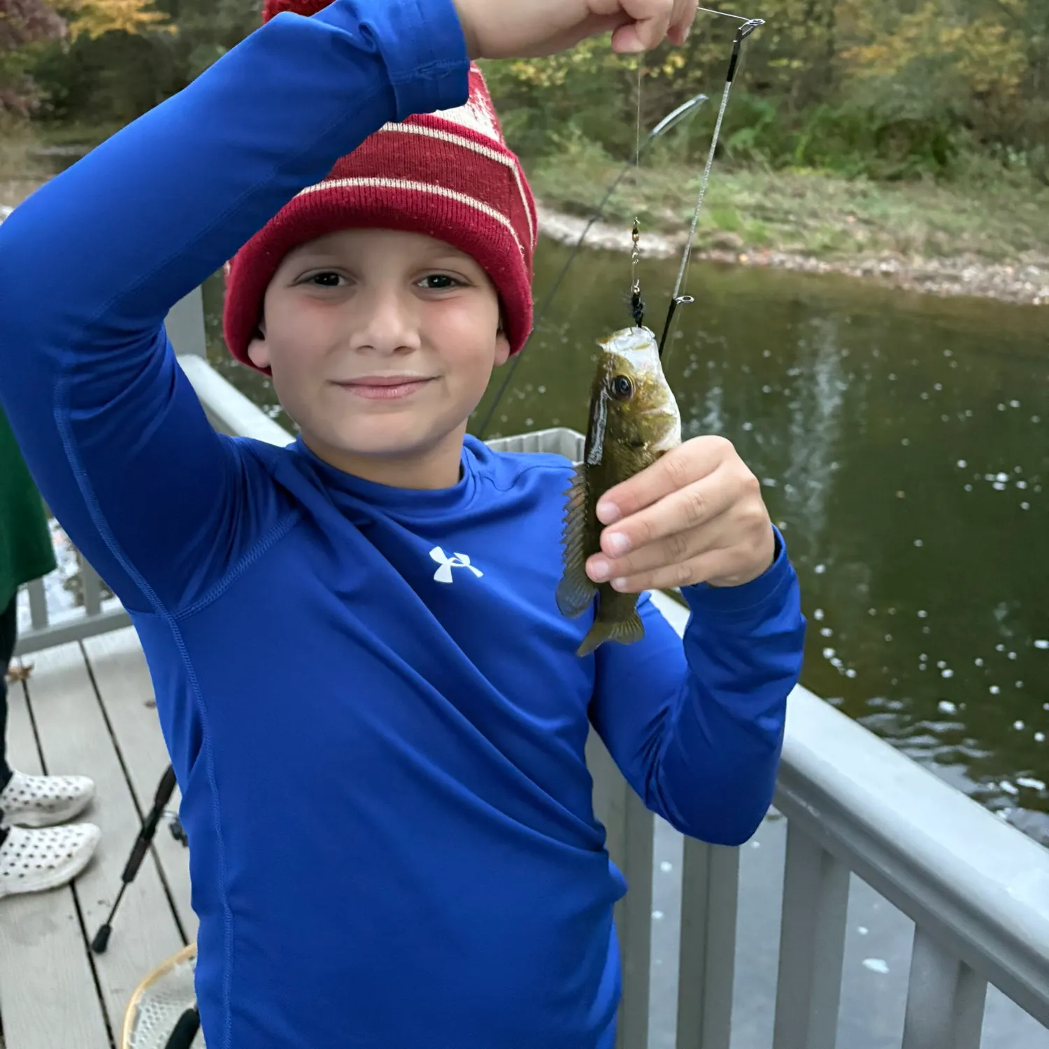 Rock bass caught on Fishbrain