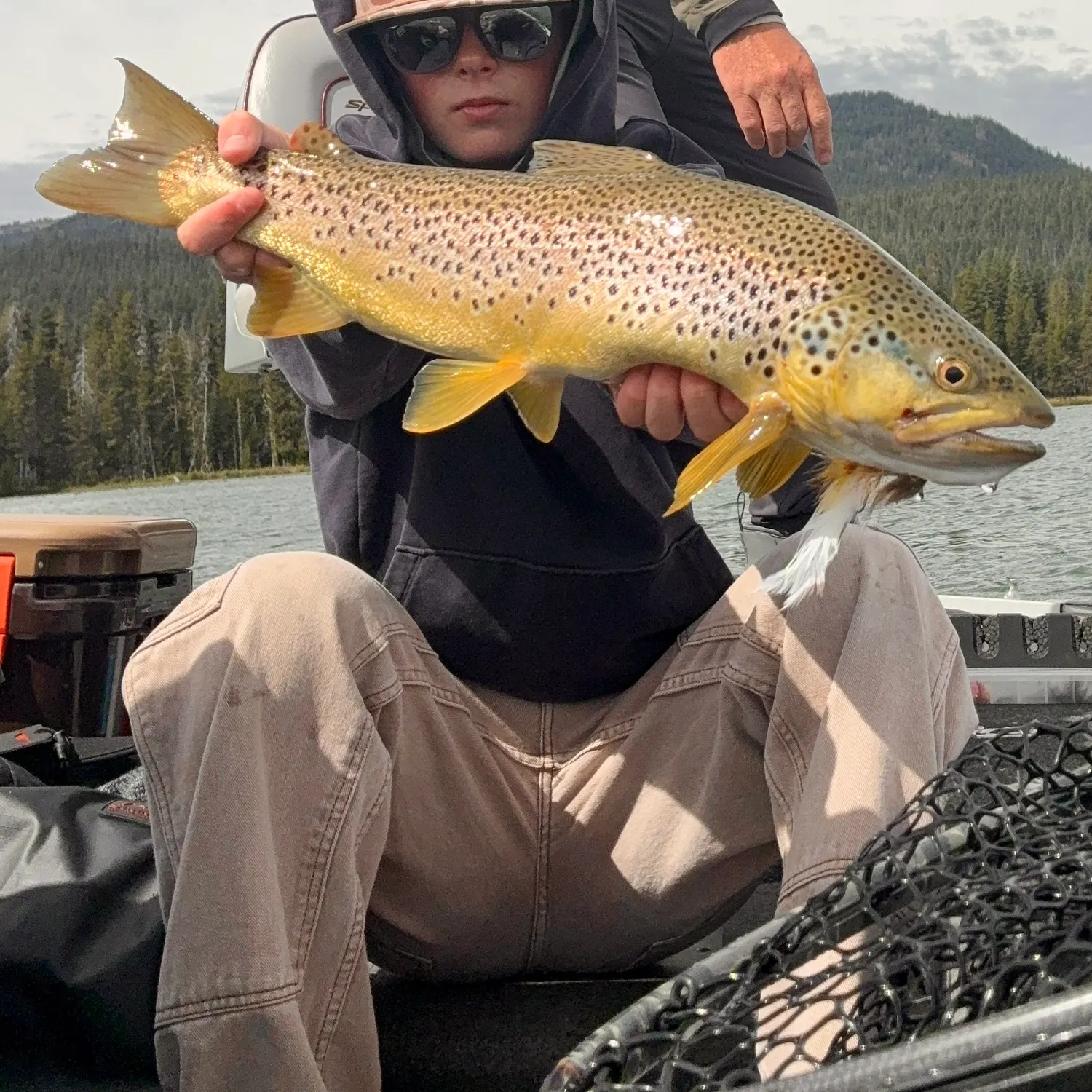 Brown trout caught on Fishbrain