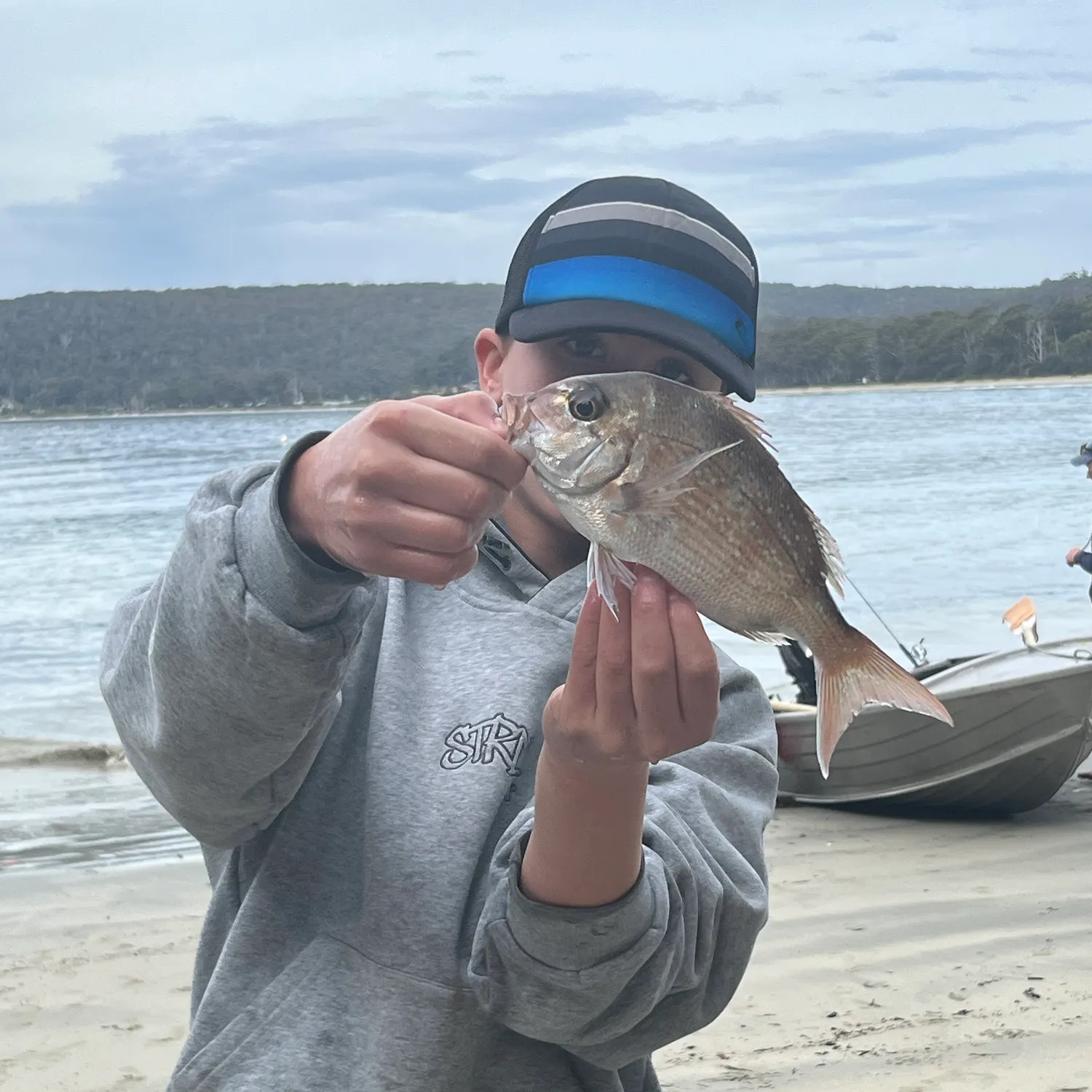 Australasian snapper caught on Fishbrain
