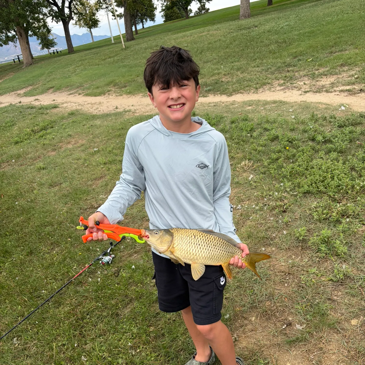 Common carp caught on Fishbrain