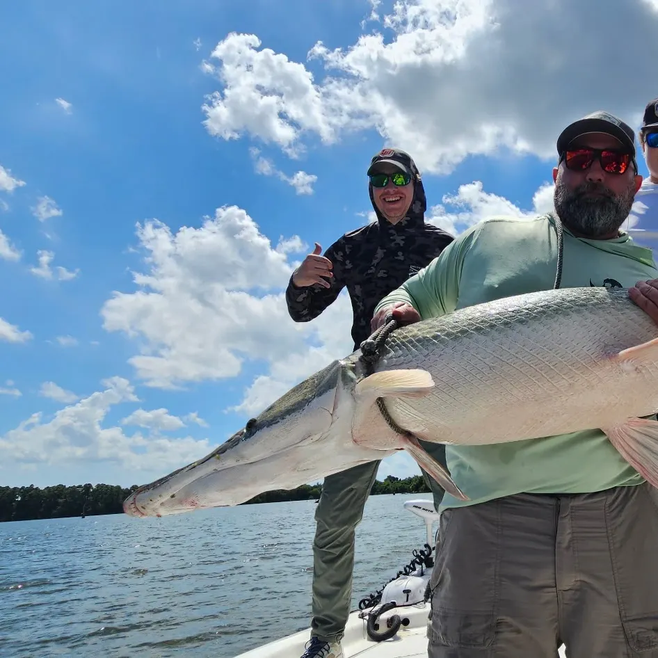 Alligator gar caught on Fishbrain