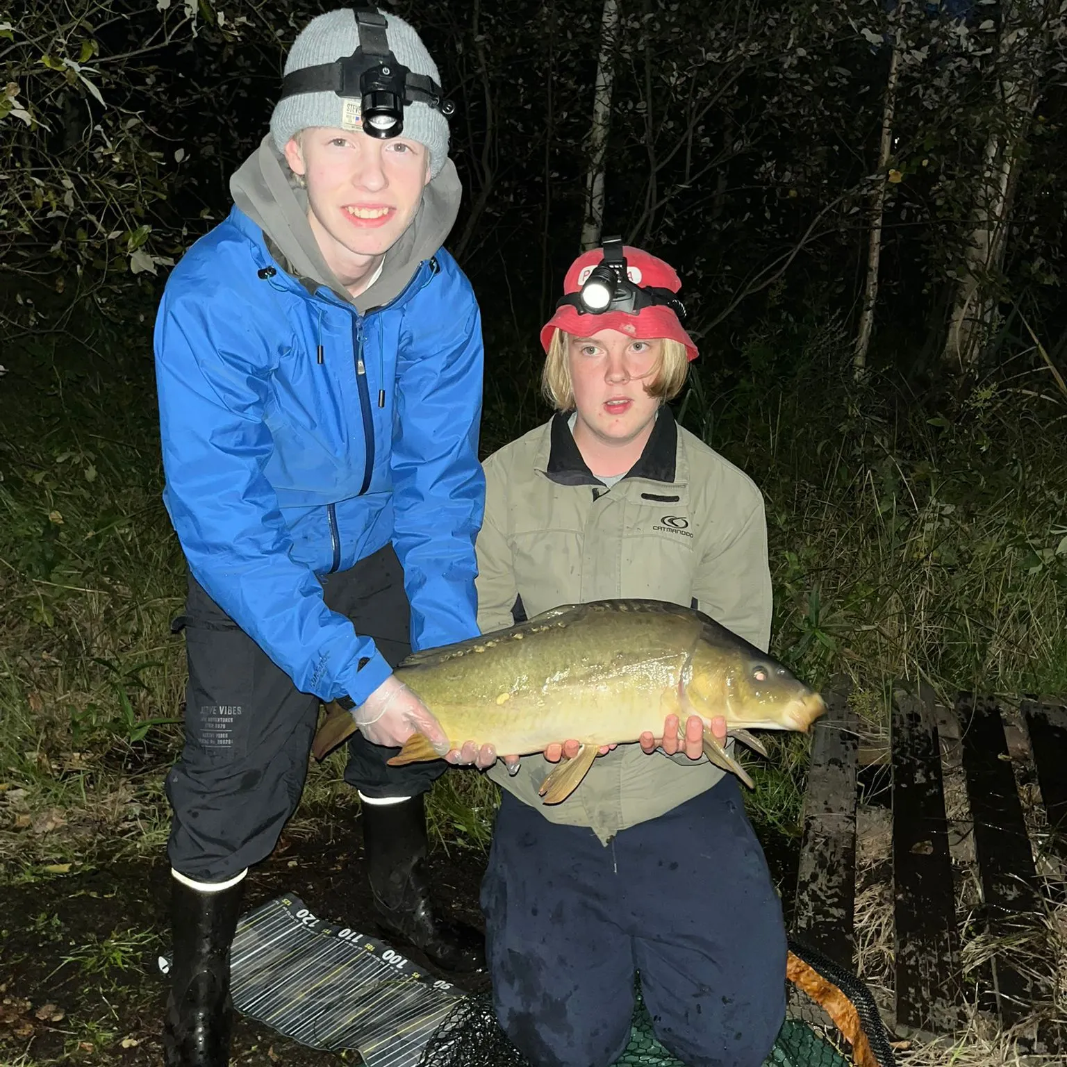 Mirror carp caught on Fishbrain