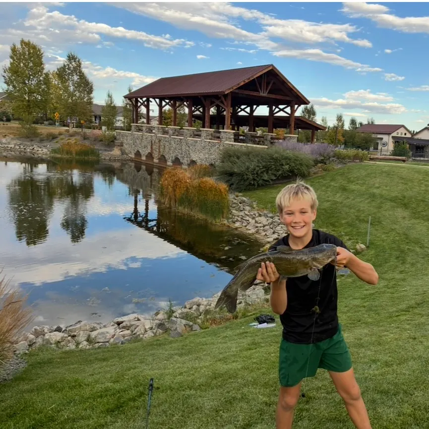 Fish caught on Fishbrain