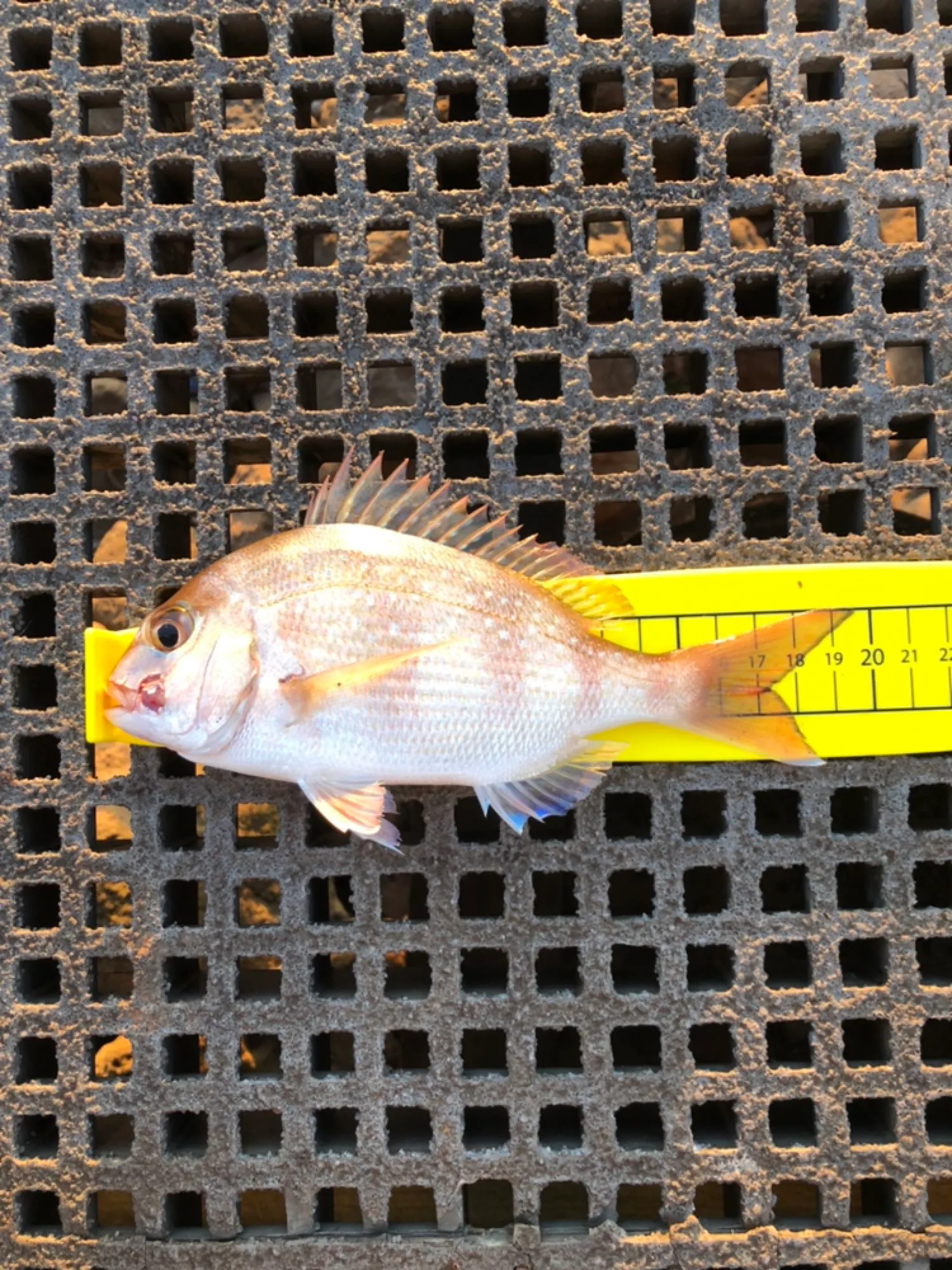 Post image from Nathan.T