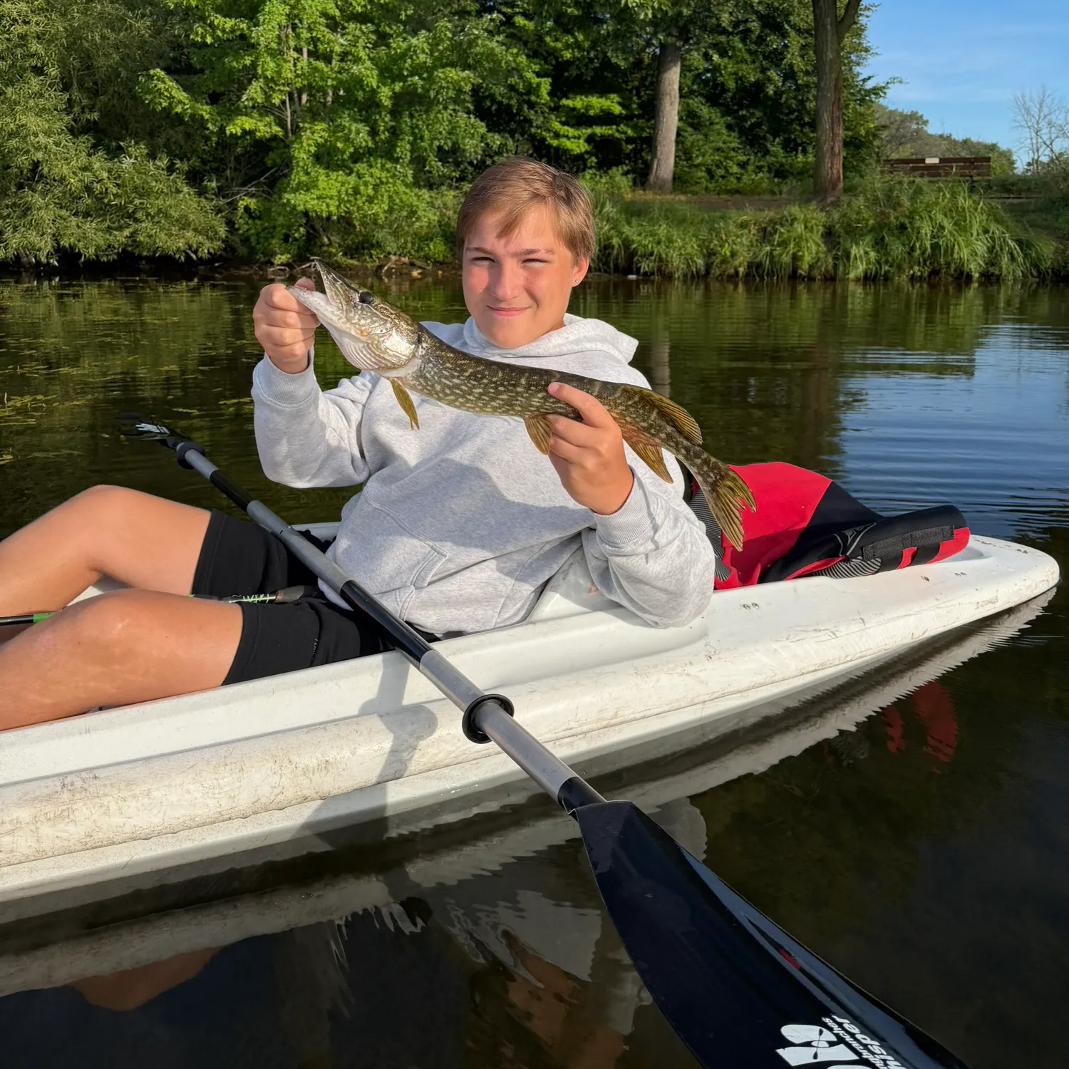 Northern pike caught on Fishbrain