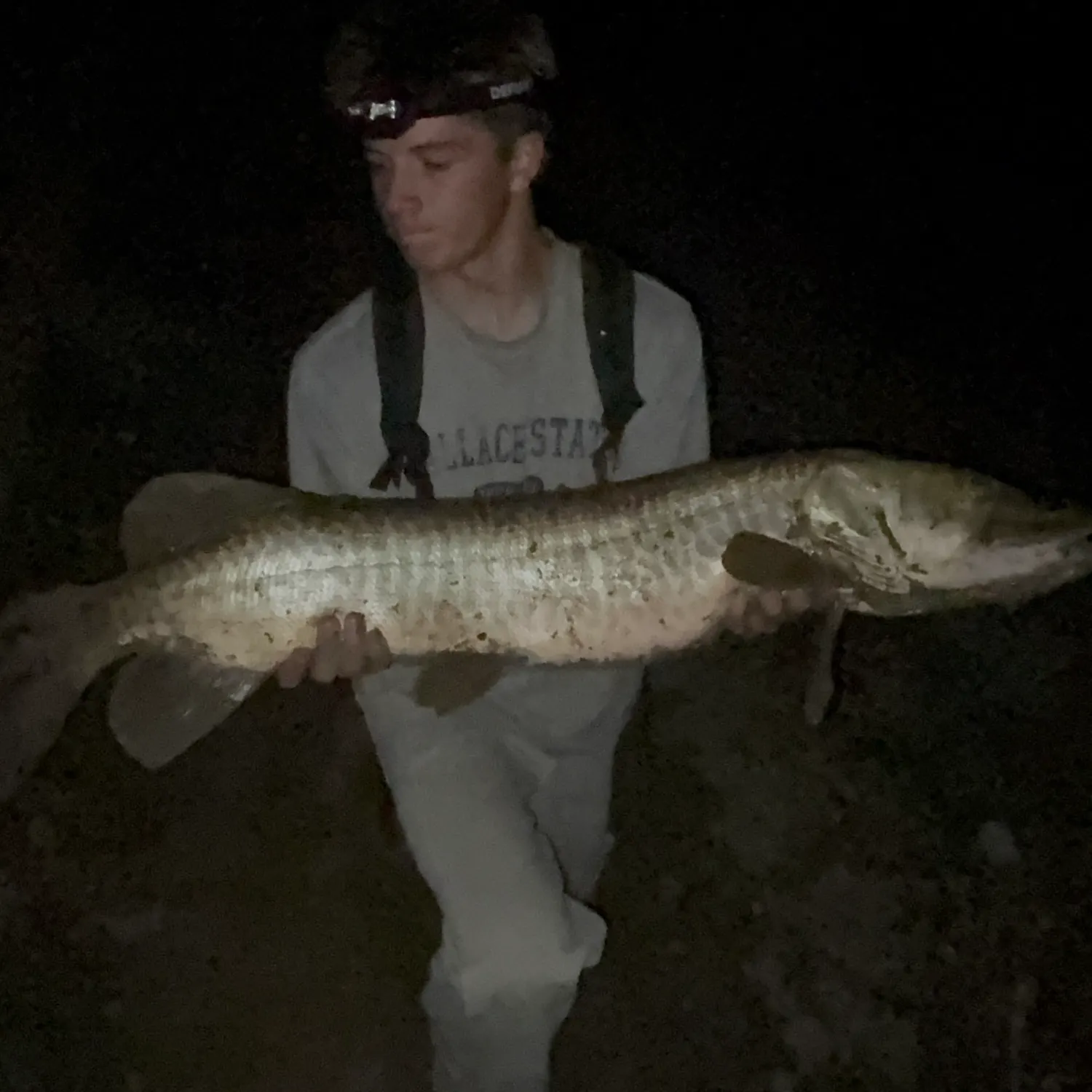 The most recent Tiger muskie catches on Fishbrain