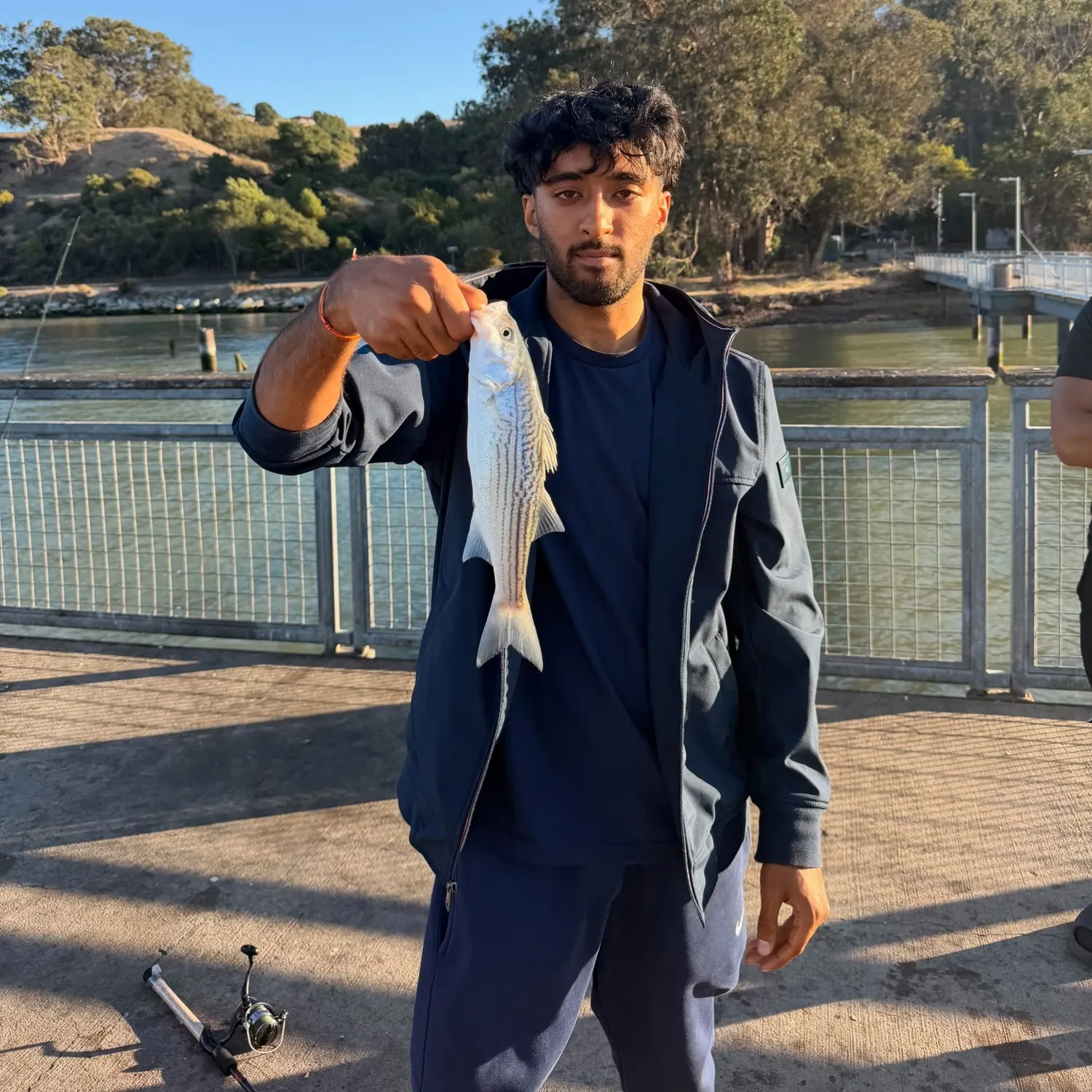 Striped bass caught on Fishbrain