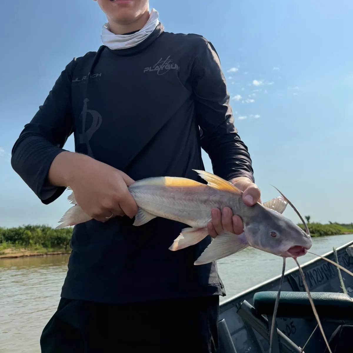 Flatwhiskered catfish caught on Fishbrain