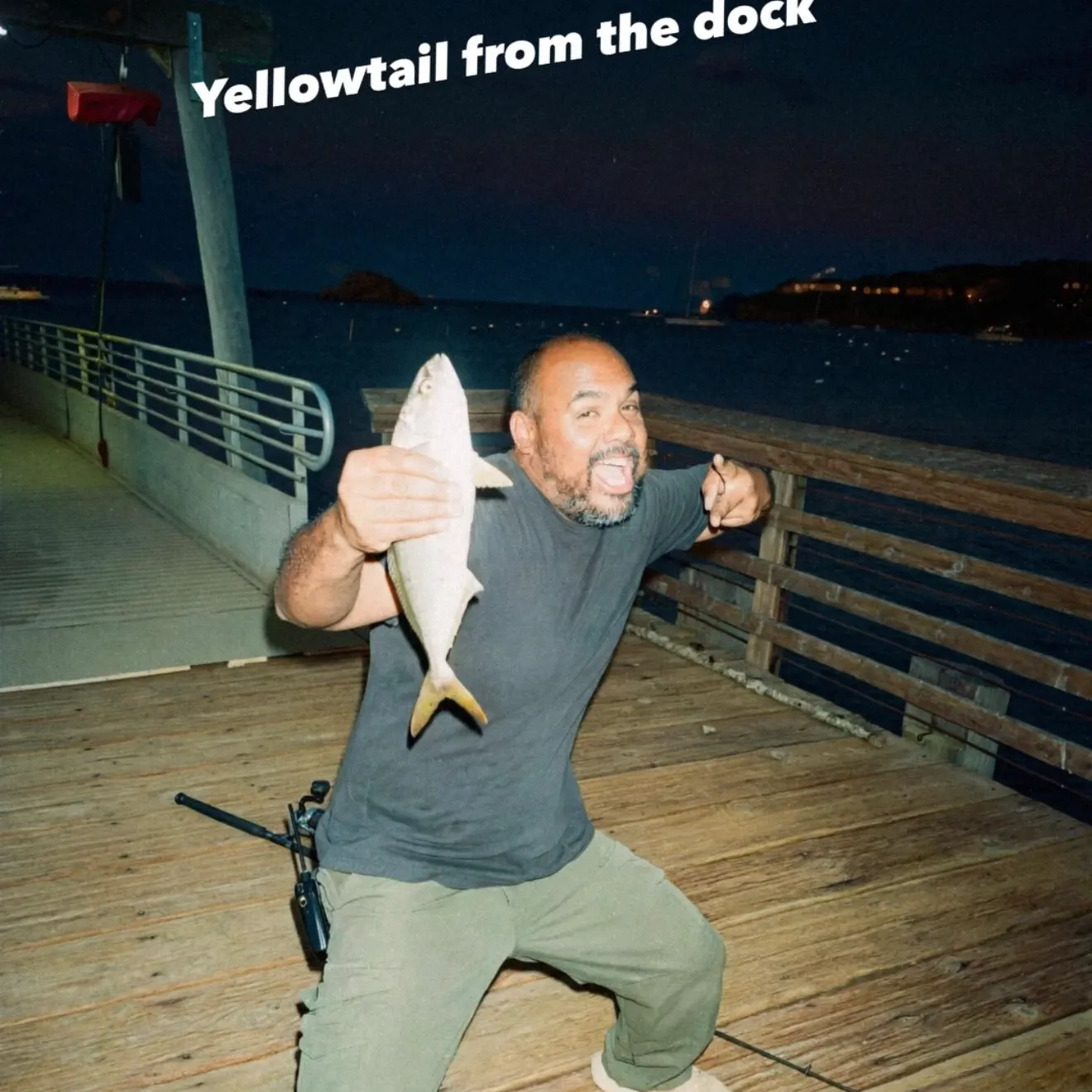 Southern yellowtail amberjack caught on Fishbrain