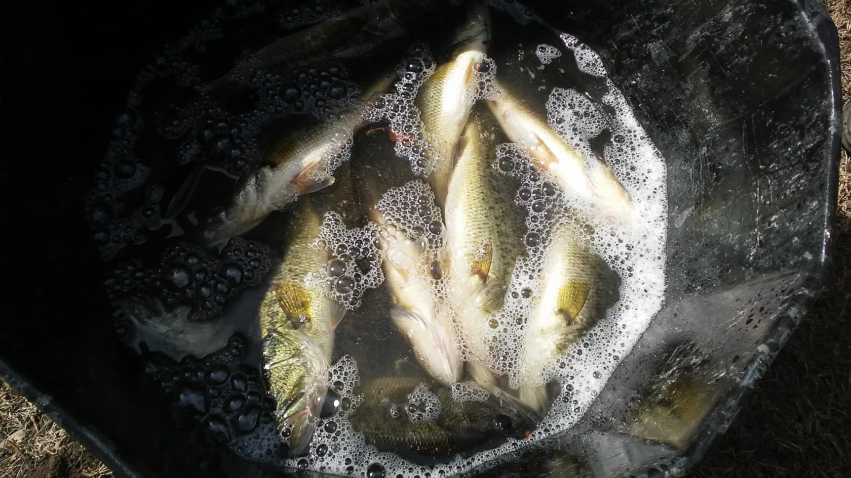 Post image from driley72