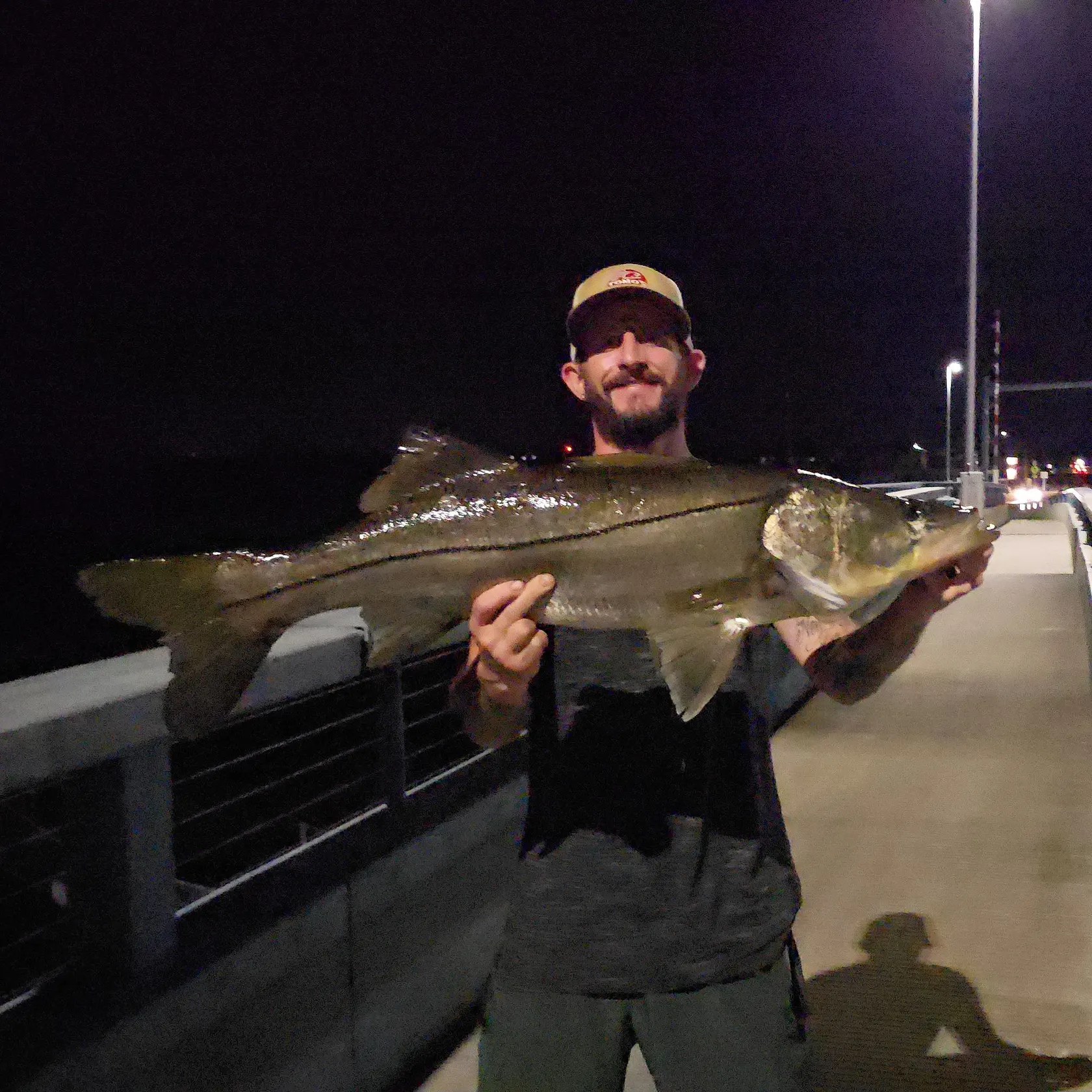 Common snook caught on Fishbrain