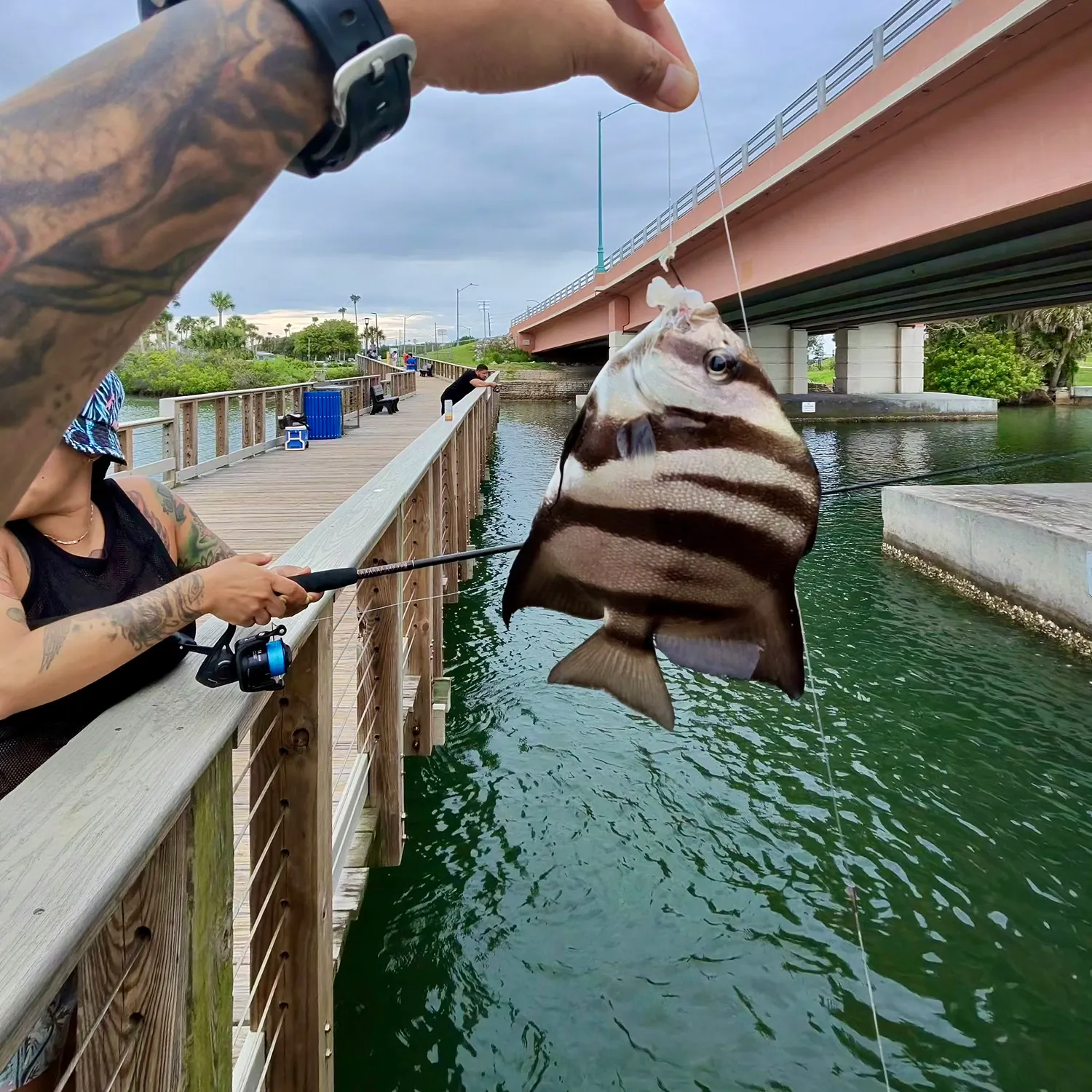 catch