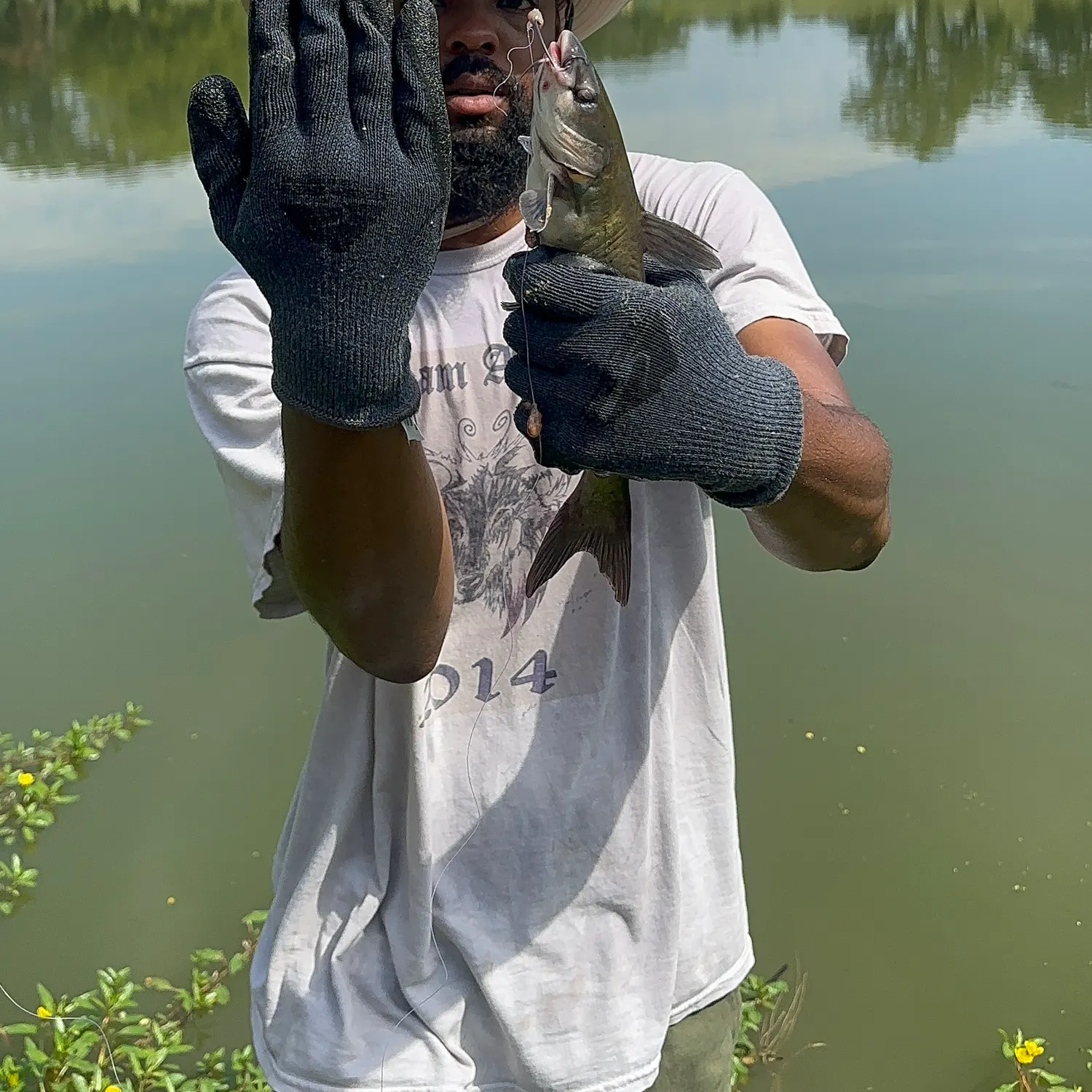Channel catfish caught on Fishbrain