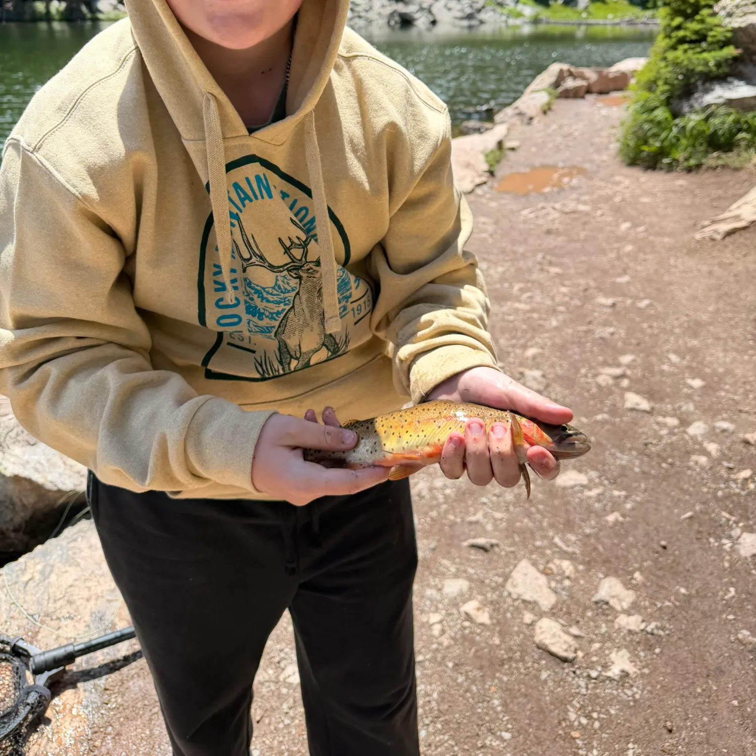 The most recent Colorado river cutthroat trout catches on Fishbrain