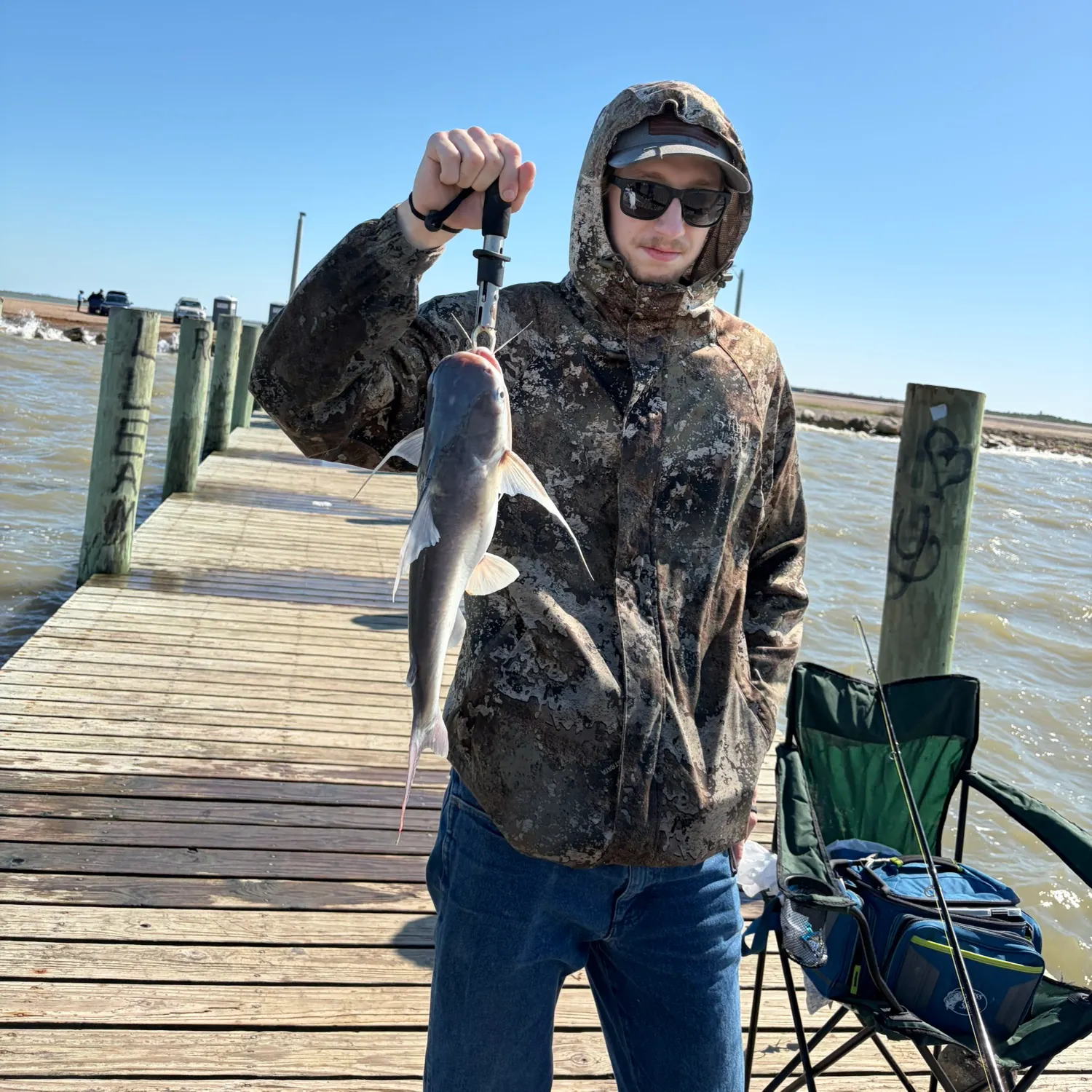The most recent Gafftopsail sea catfish catches on Fishbrain